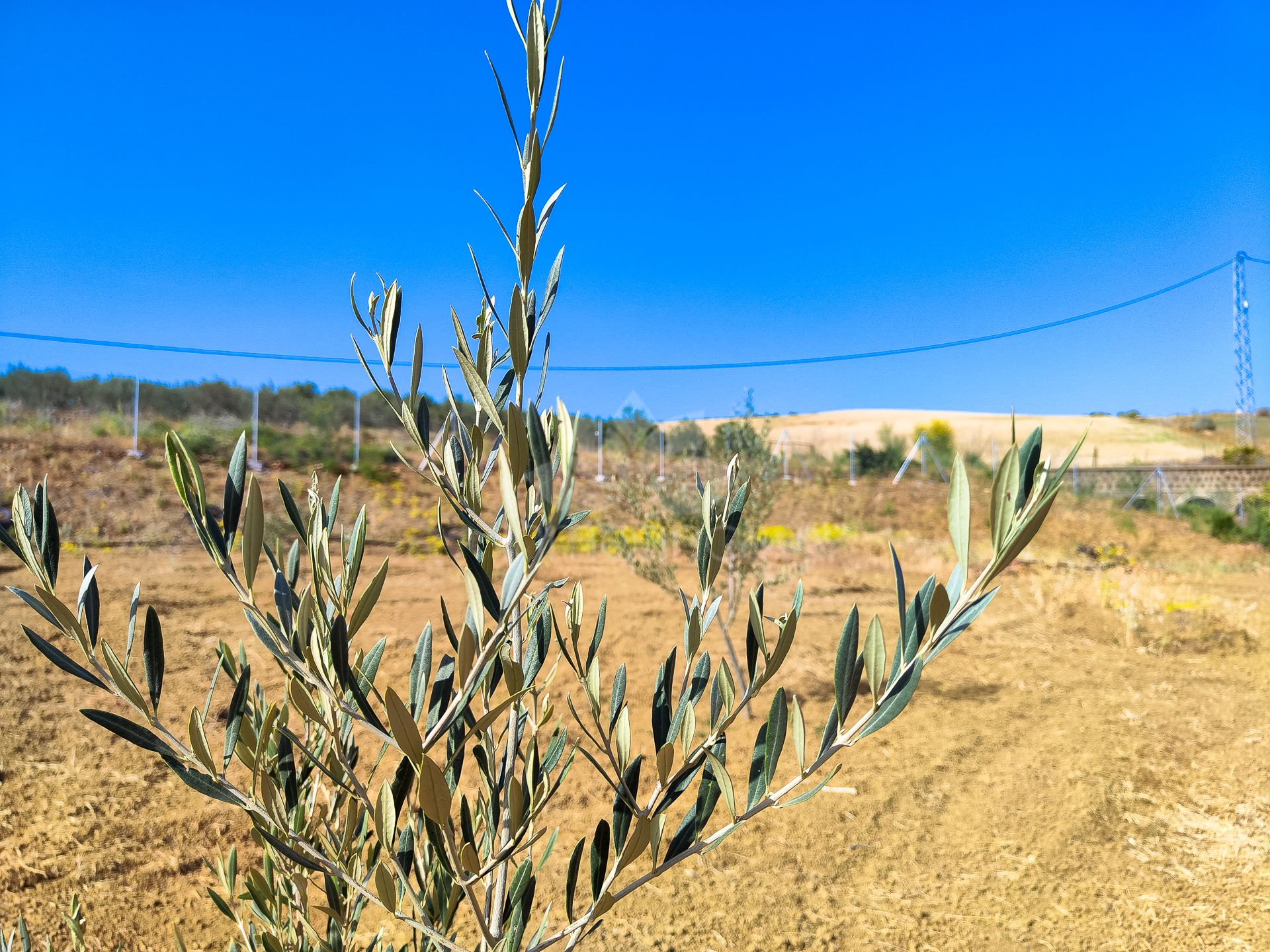 Plot in Coin Centro, Coin