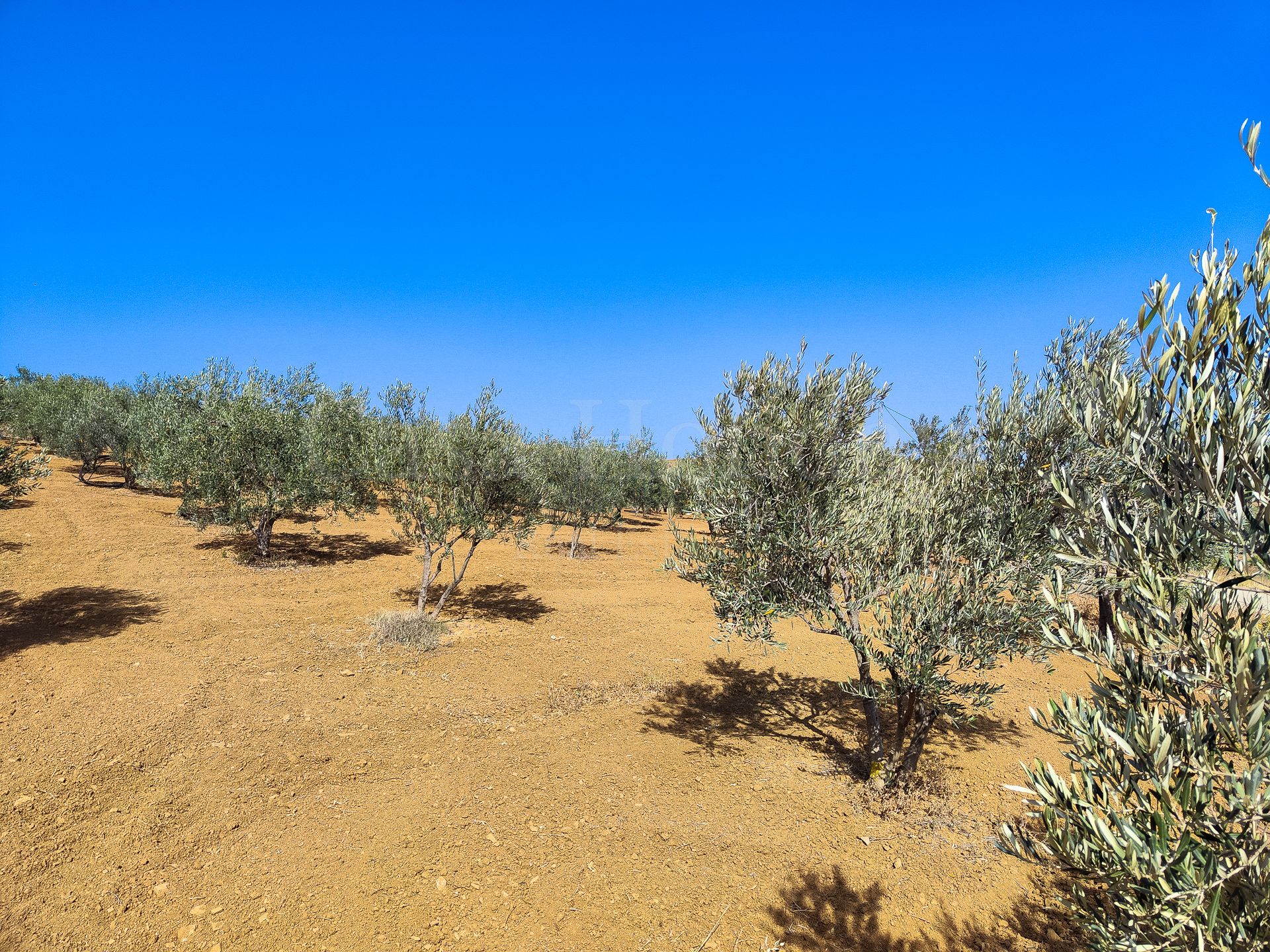 Parcela en Coin Centro, Coin