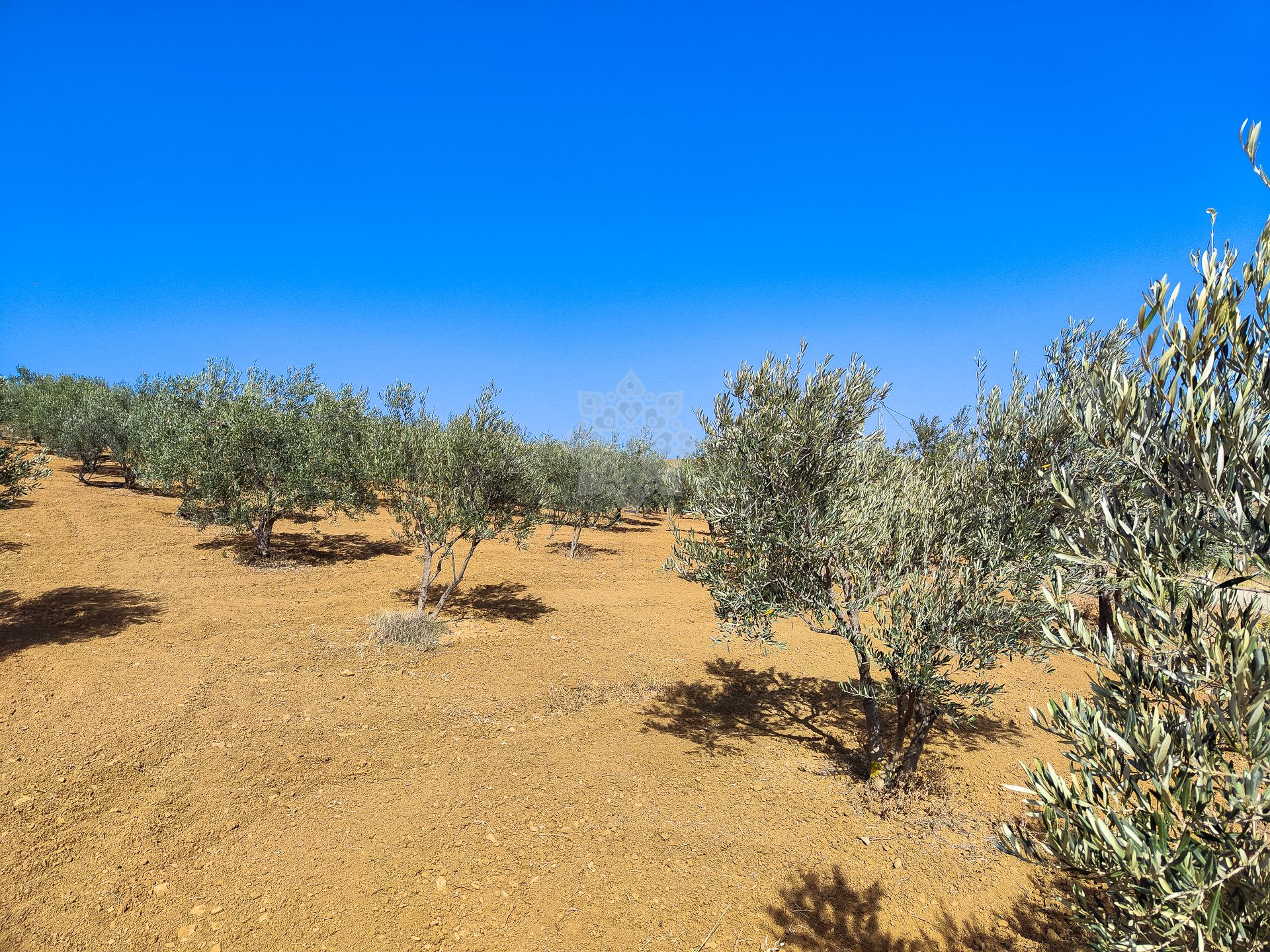 Plot in Coin Centro, Coin