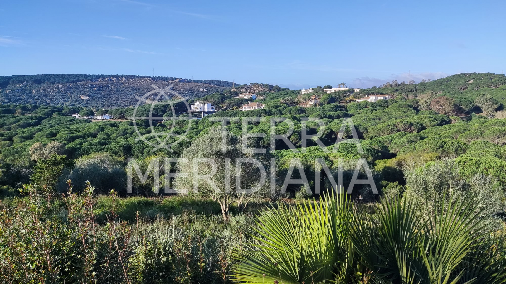 Plot in Almenara, Sotogrande