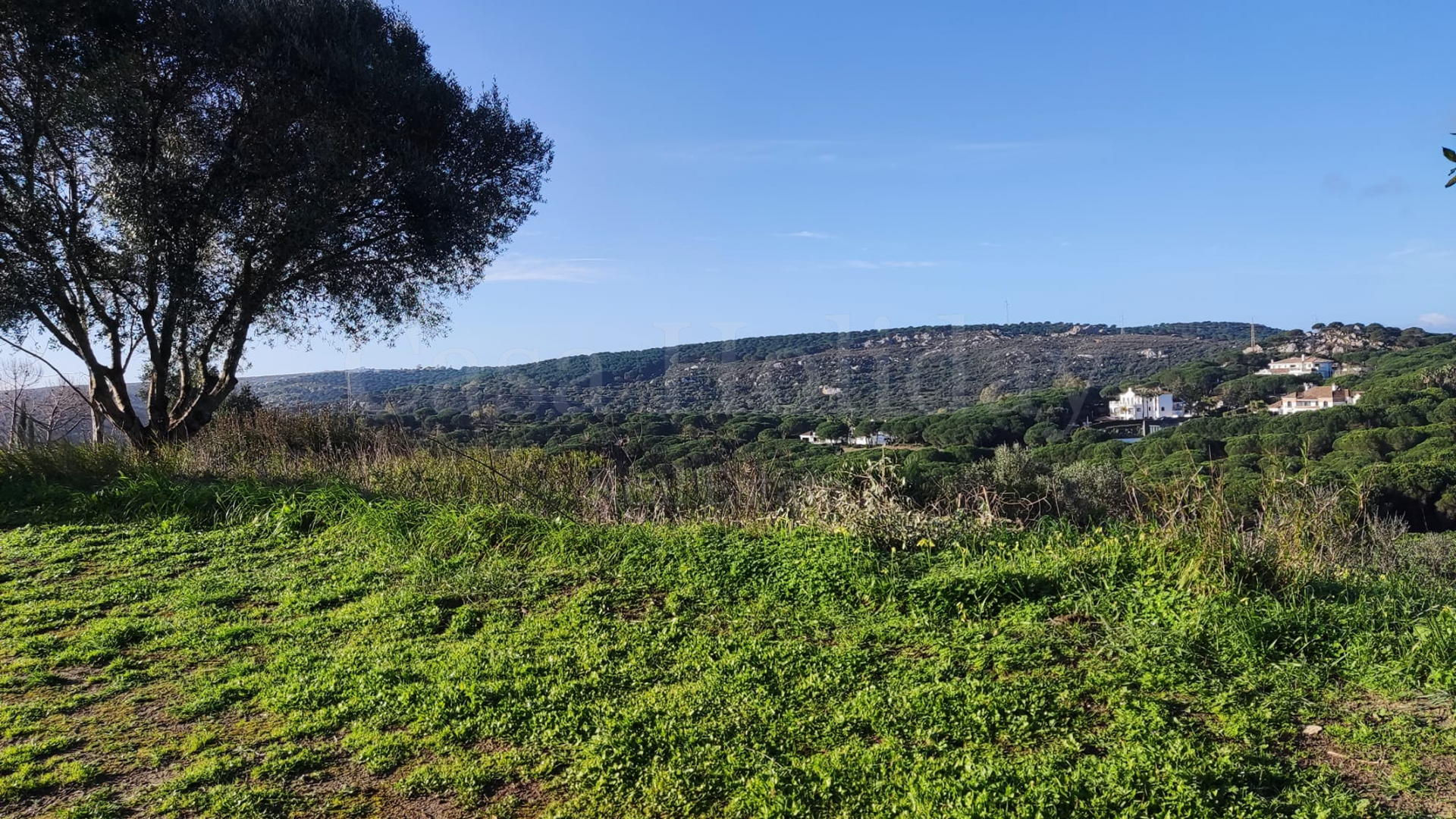 Plot in Almenara, Sotogrande