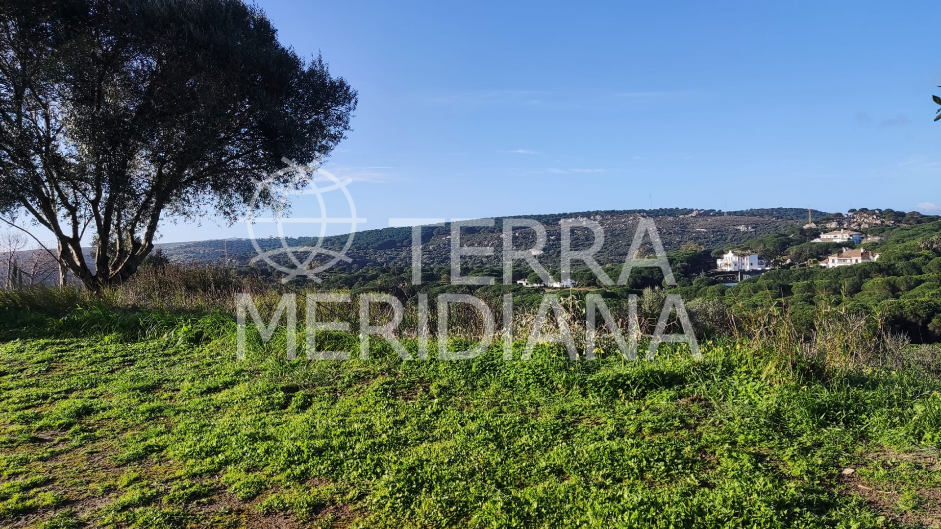 Plot in Almenara, Sotogrande