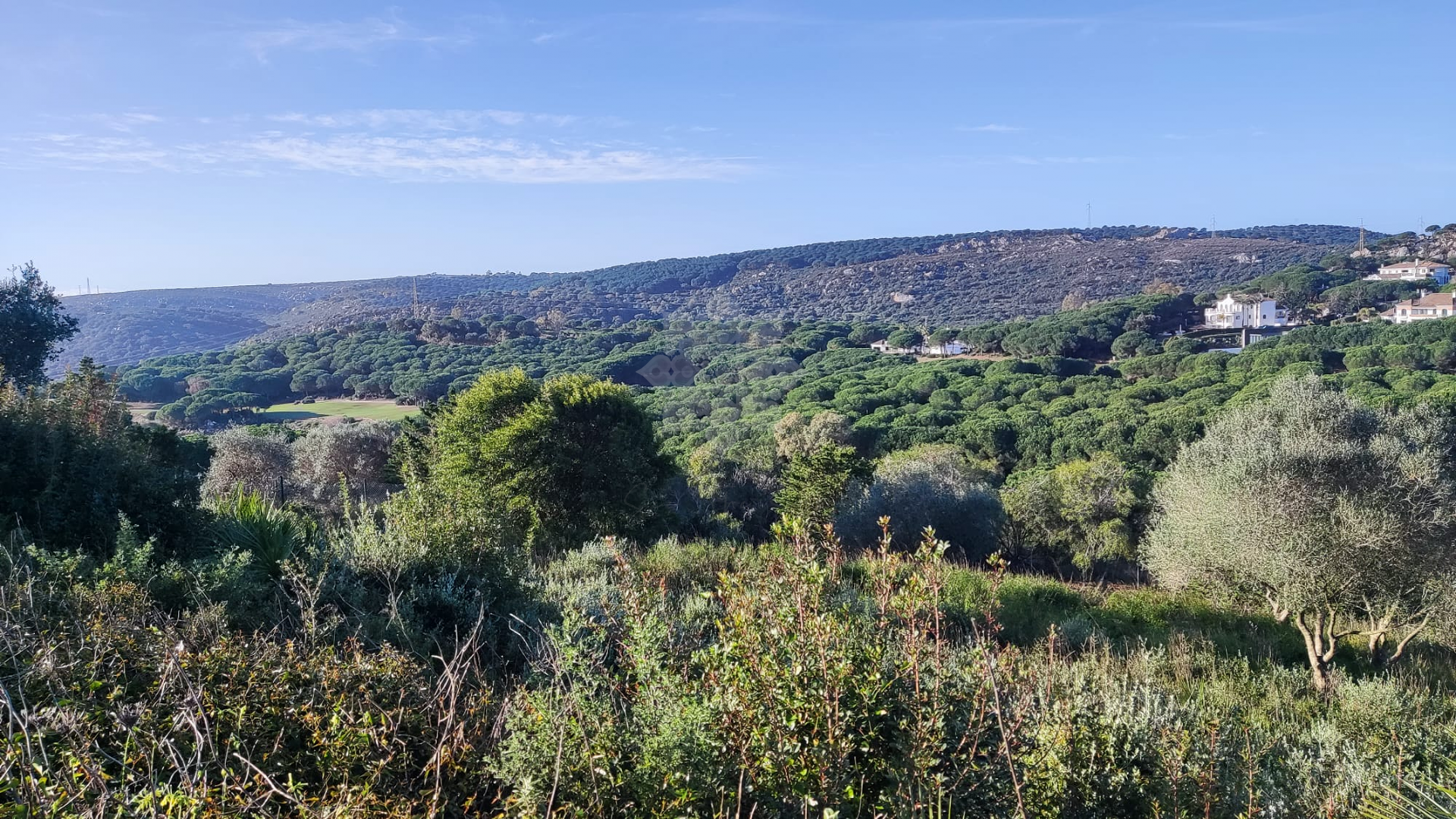 Parcela en Almenara, Sotogrande