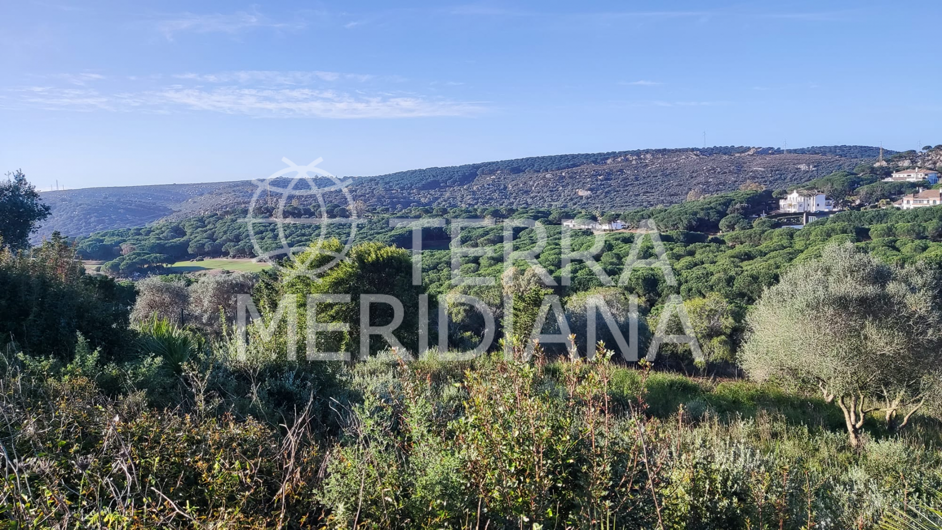 Plot in Almenara, Sotogrande