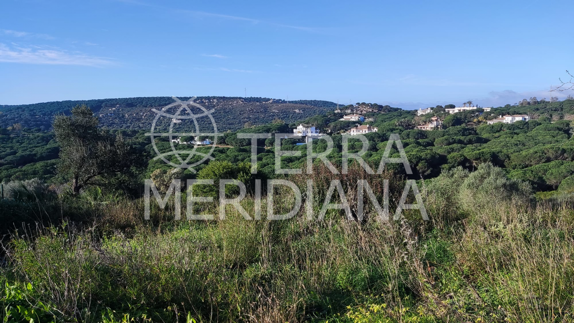 Plot in Almenara, Sotogrande