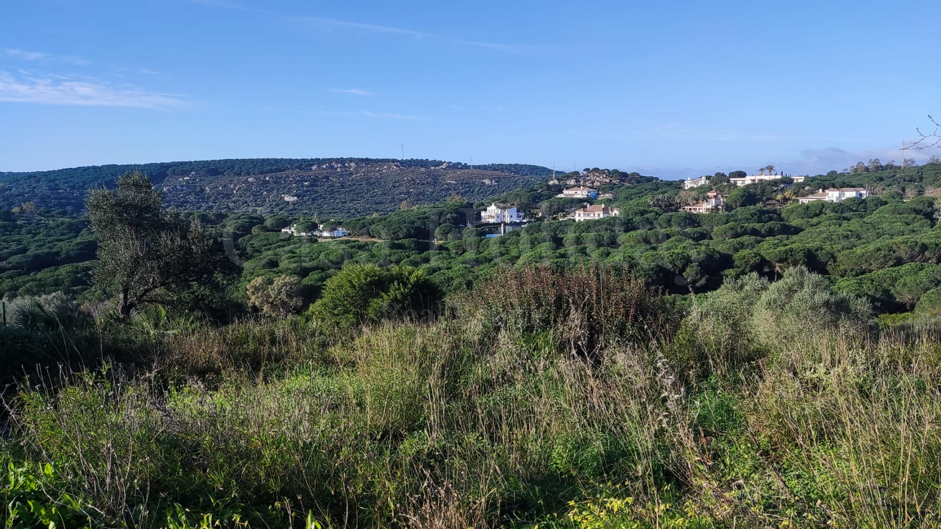 Plot in Almenara, Sotogrande