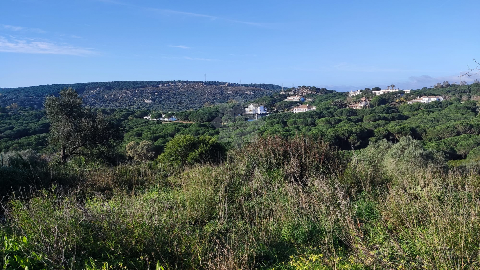 Parcela en Almenara, Sotogrande