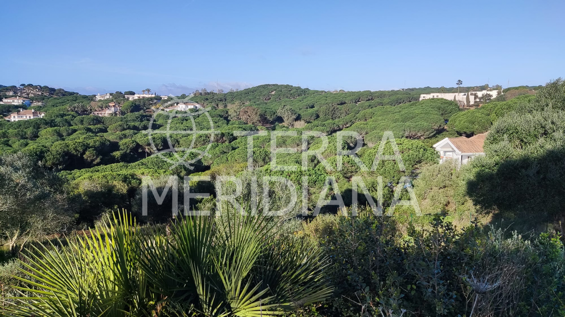 Plot in Almenara, Sotogrande