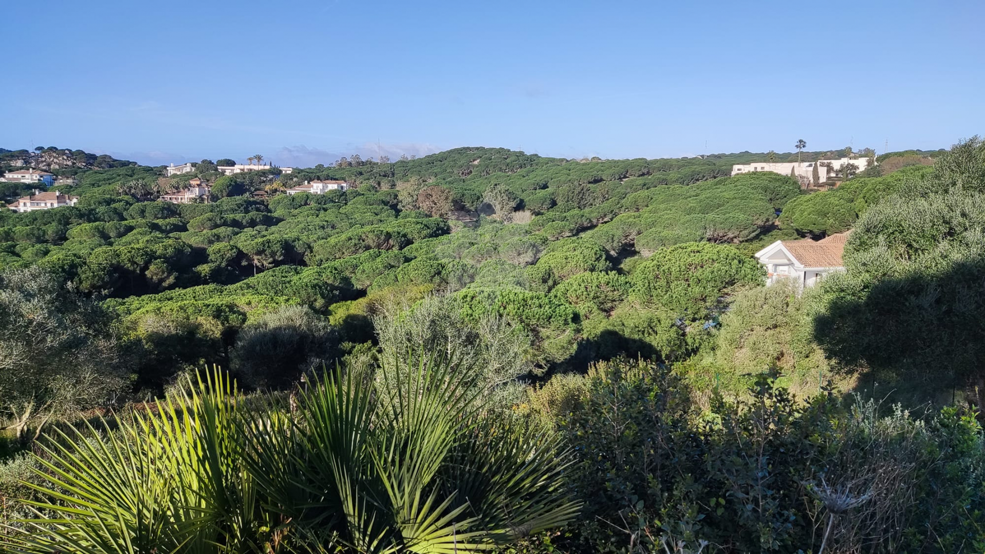 Parcela en Almenara, Sotogrande