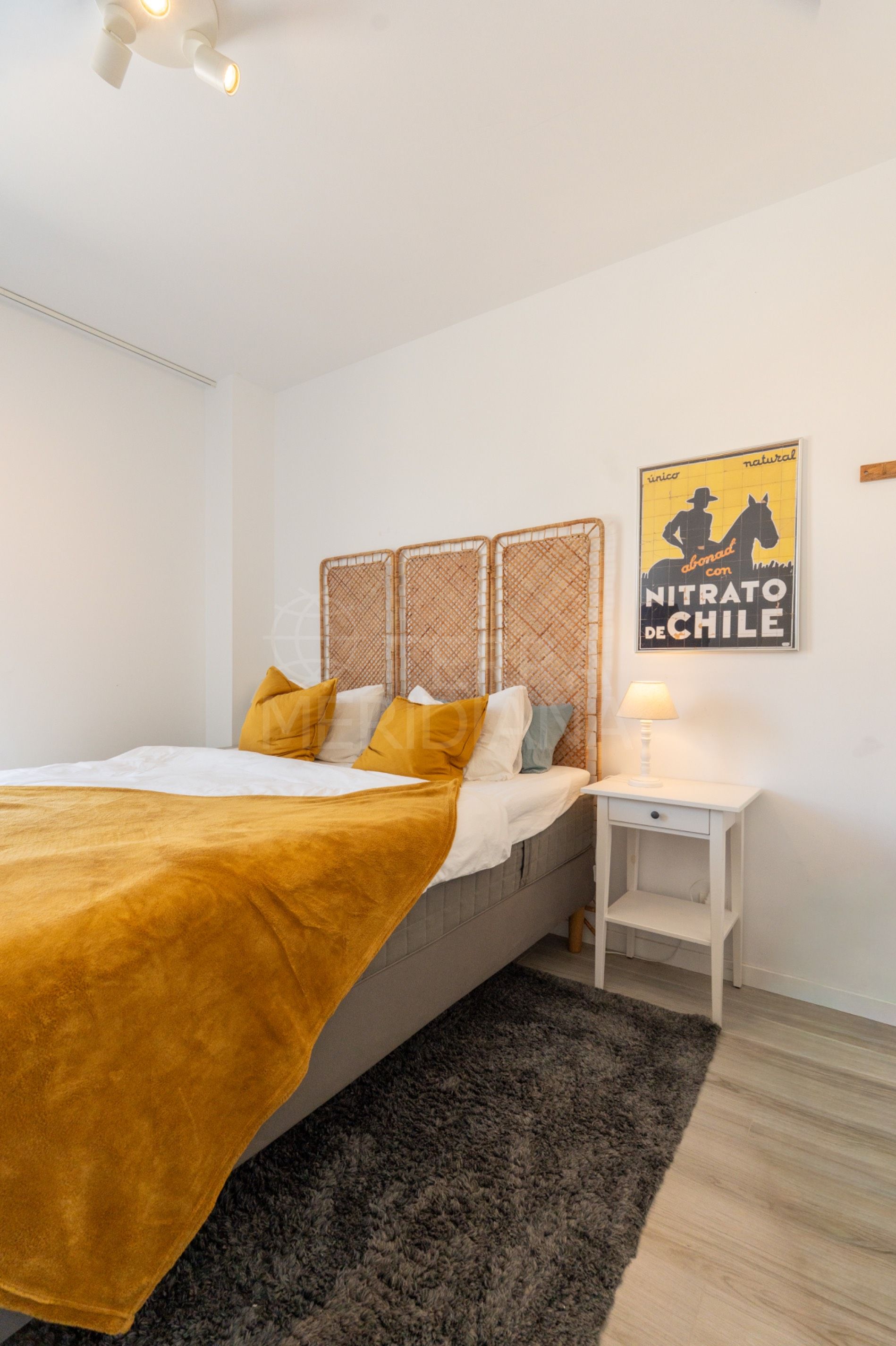 Apartment in Cancelada, Estepona