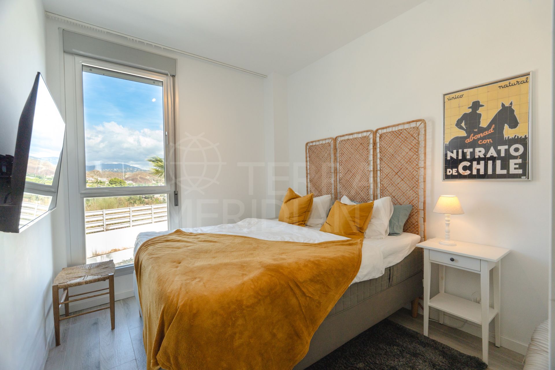 Apartment in Cancelada, Estepona