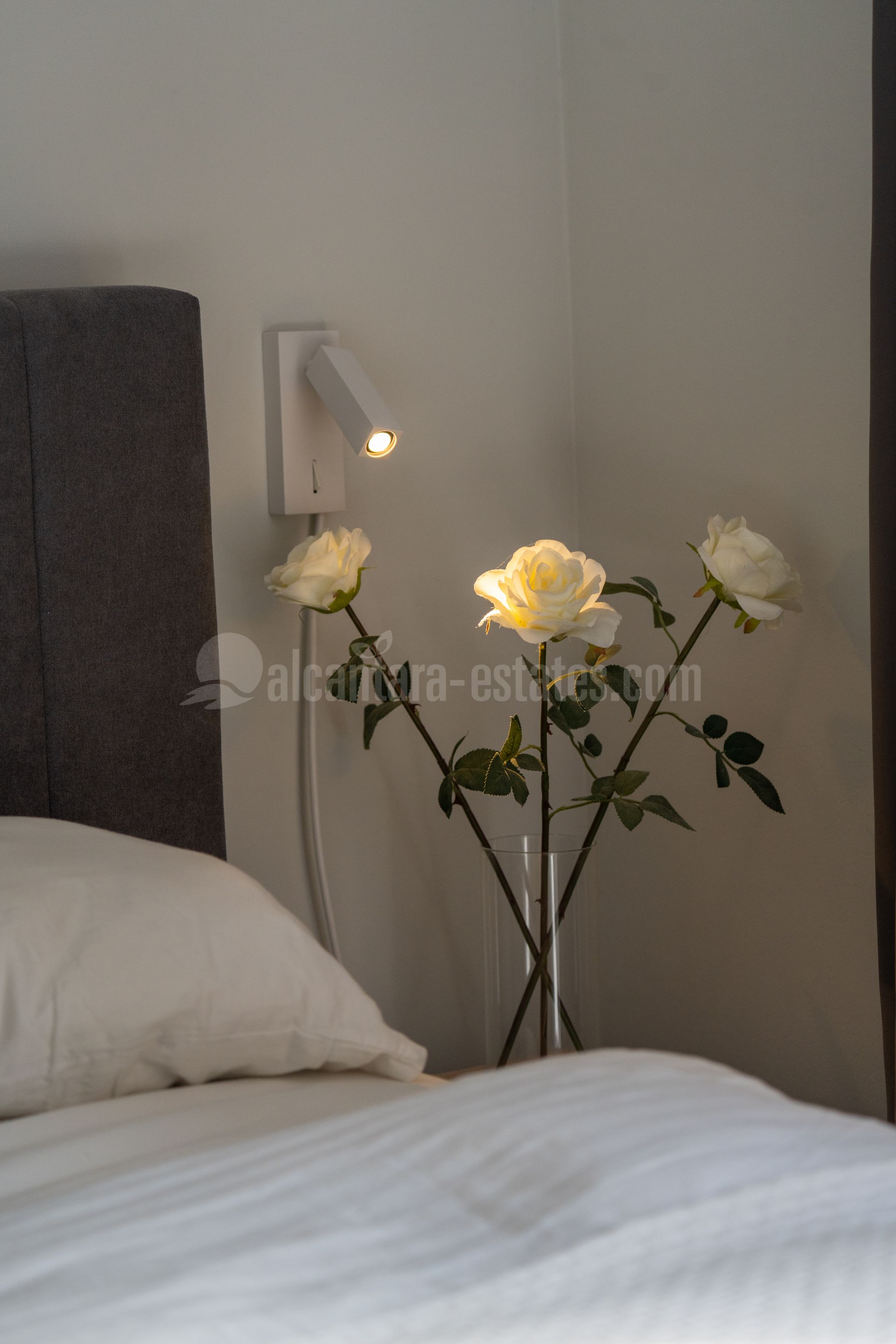 Town House in Condes de Iza, Marbella