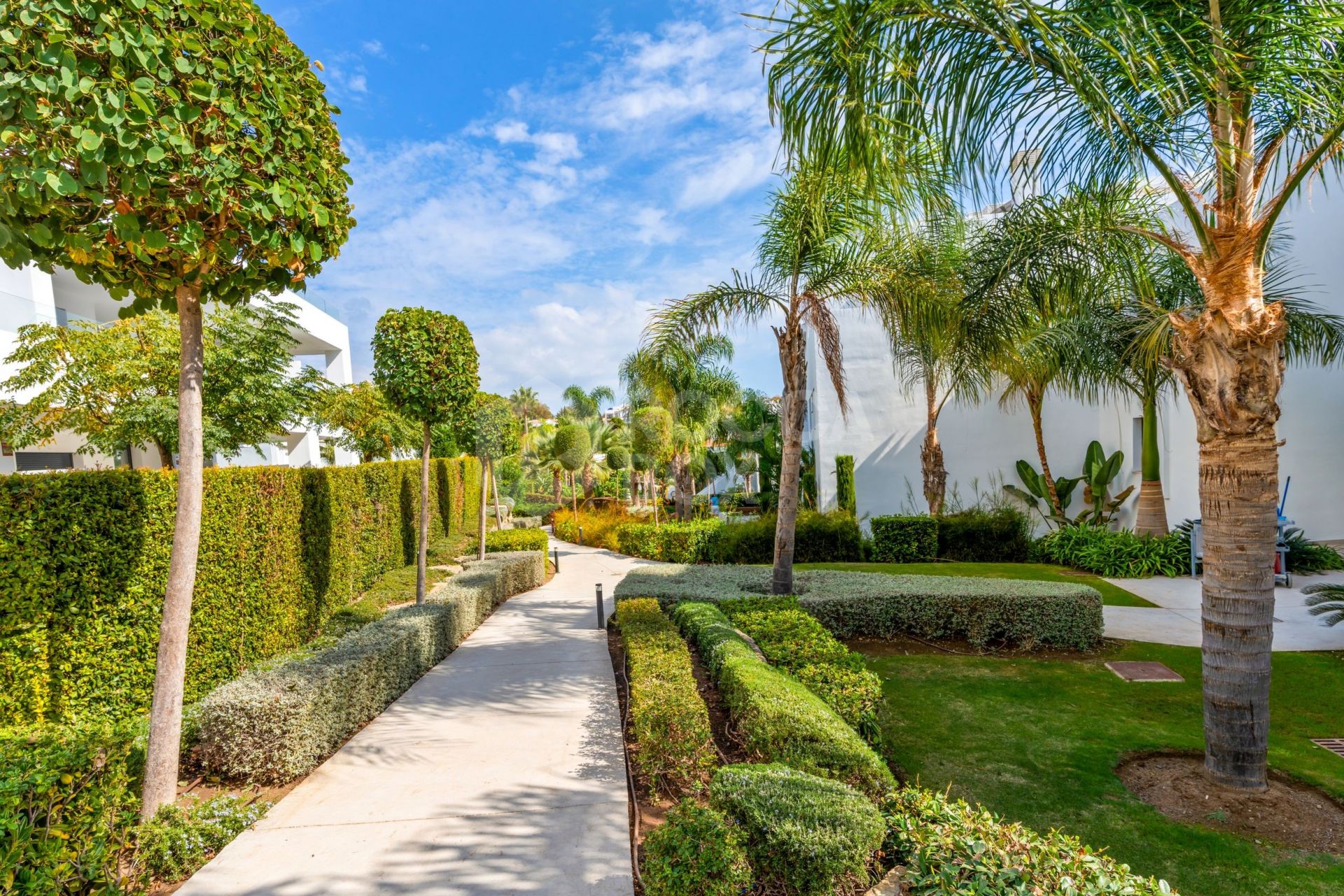 Modern 2-bedroom apartment