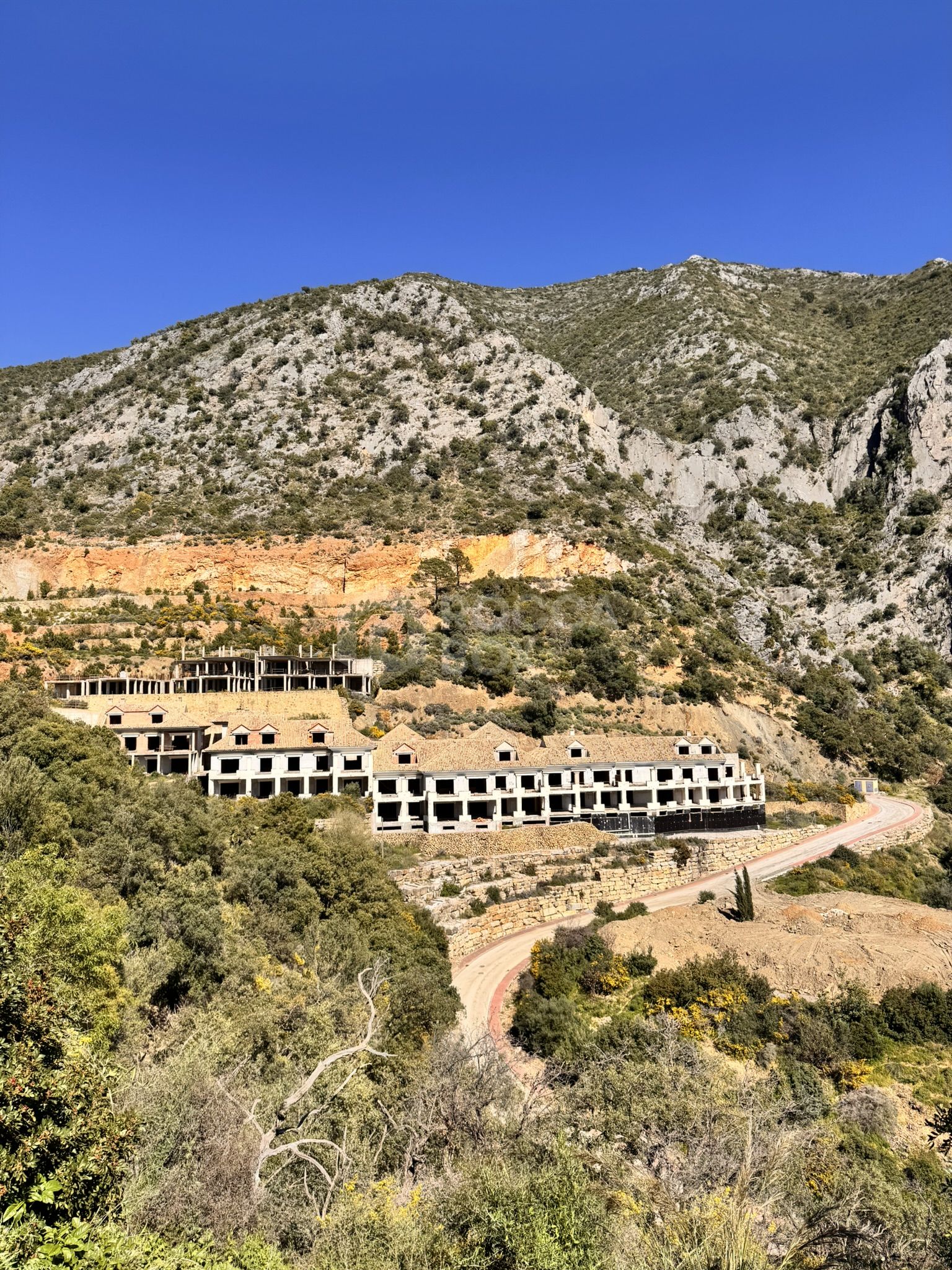 New Development Plot