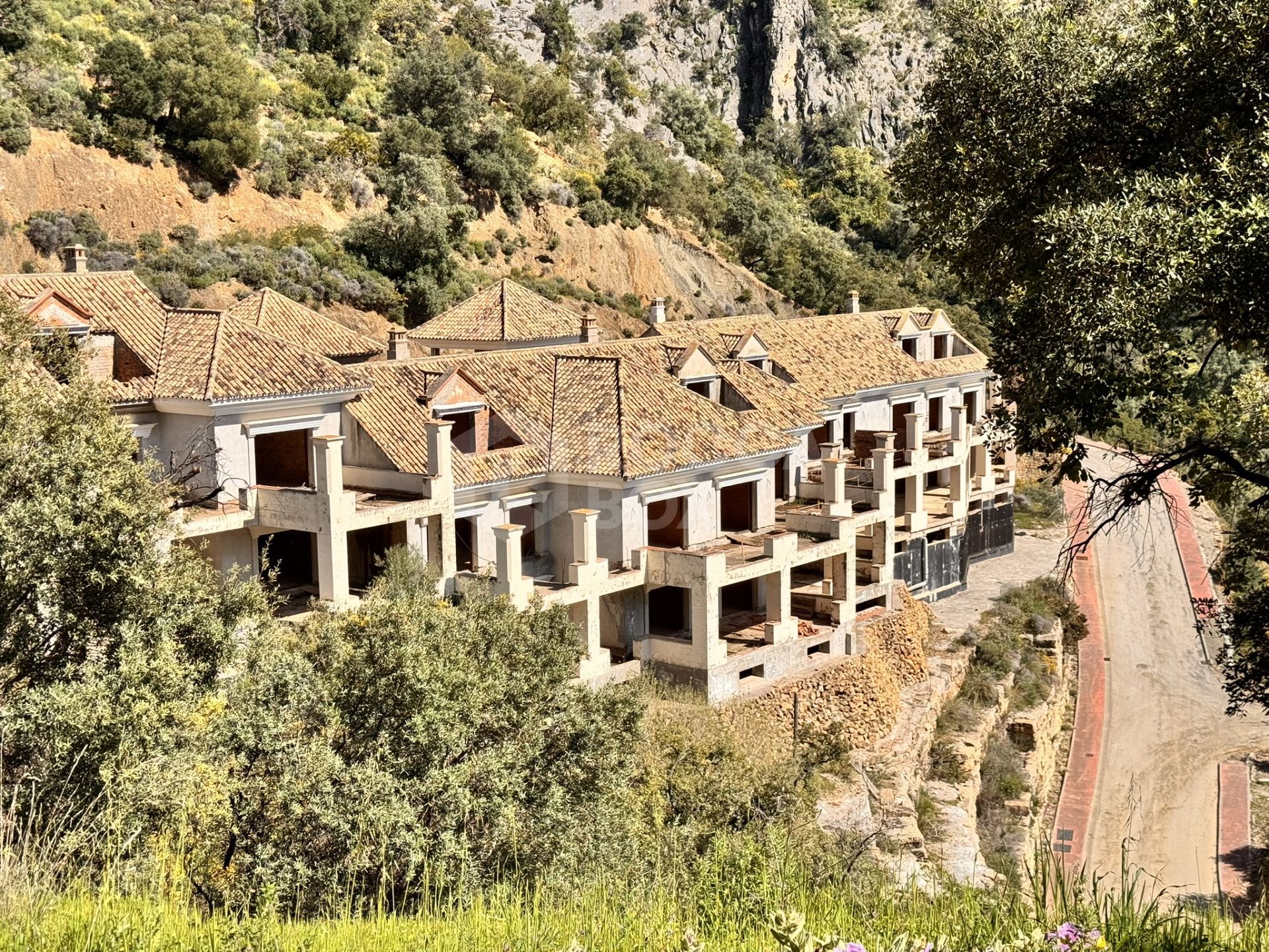 New Development Plot