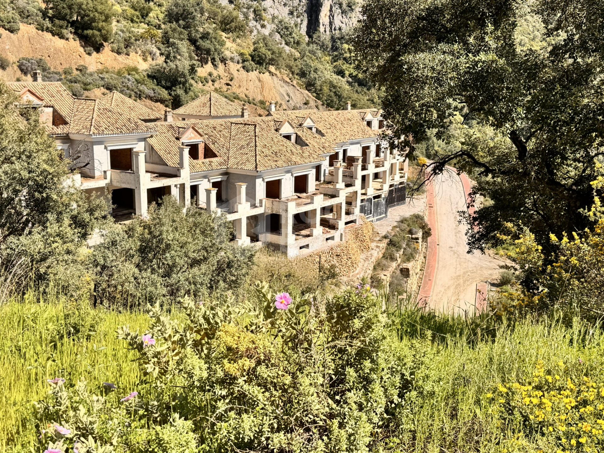 New Development Plot