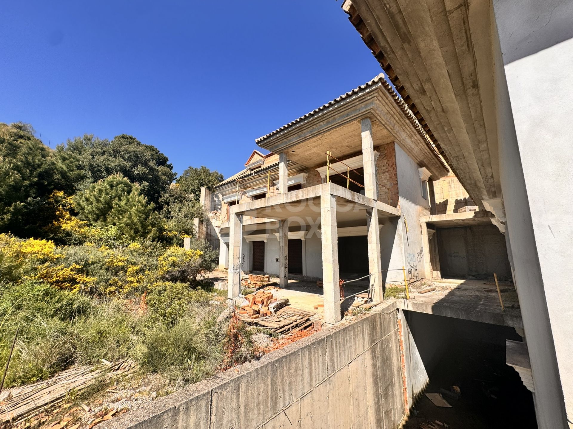 New Development Plot