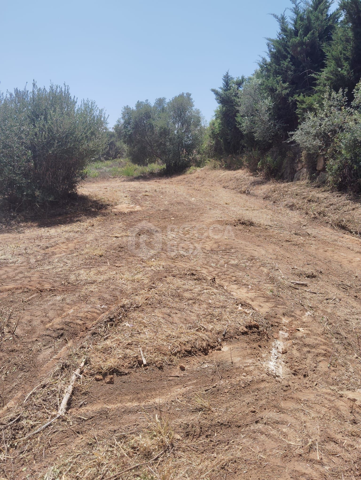 Plot for sale in Sotogrande Alto