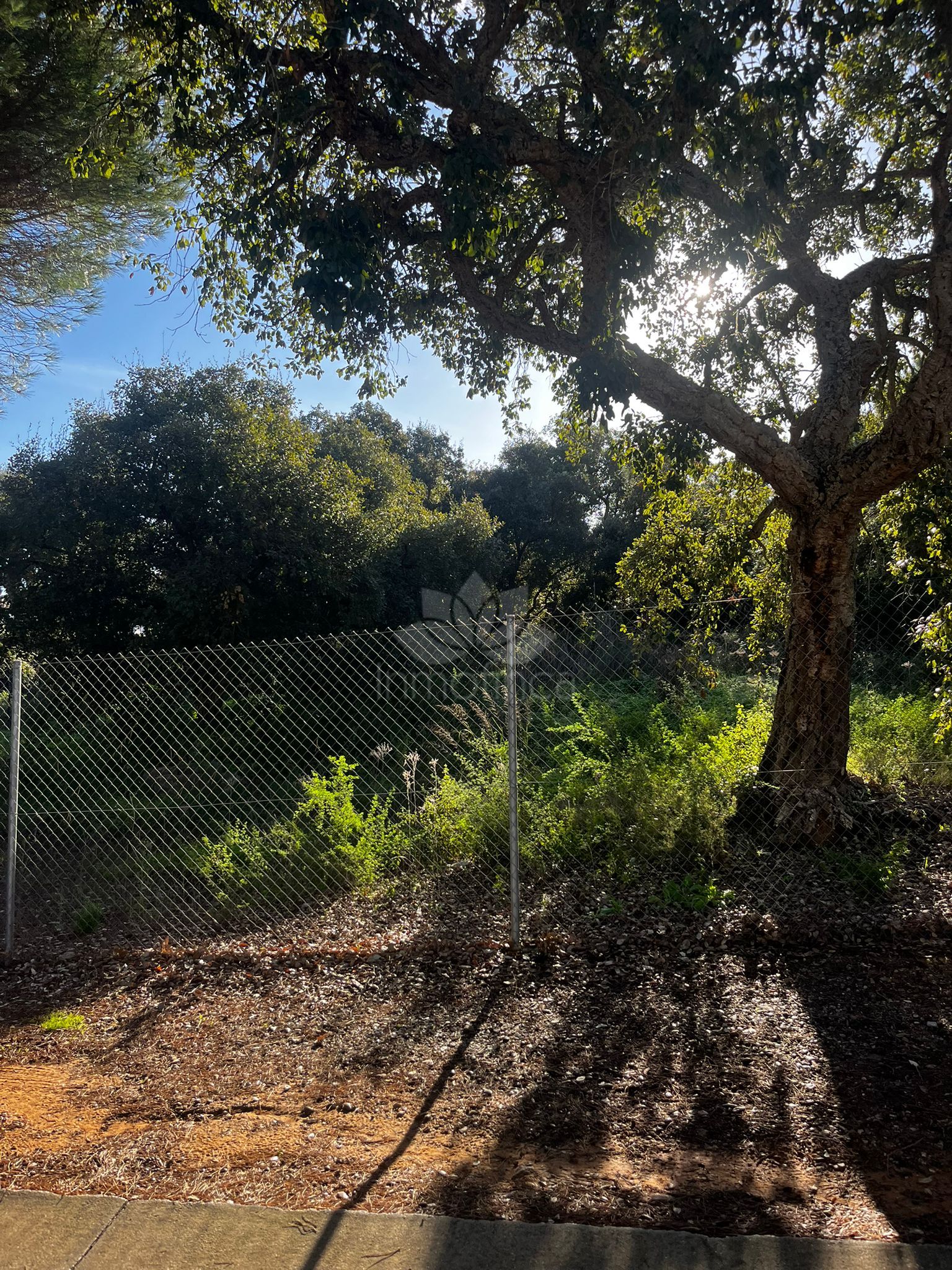 Parcela en Sotogrande Alto Central, Sotogrande