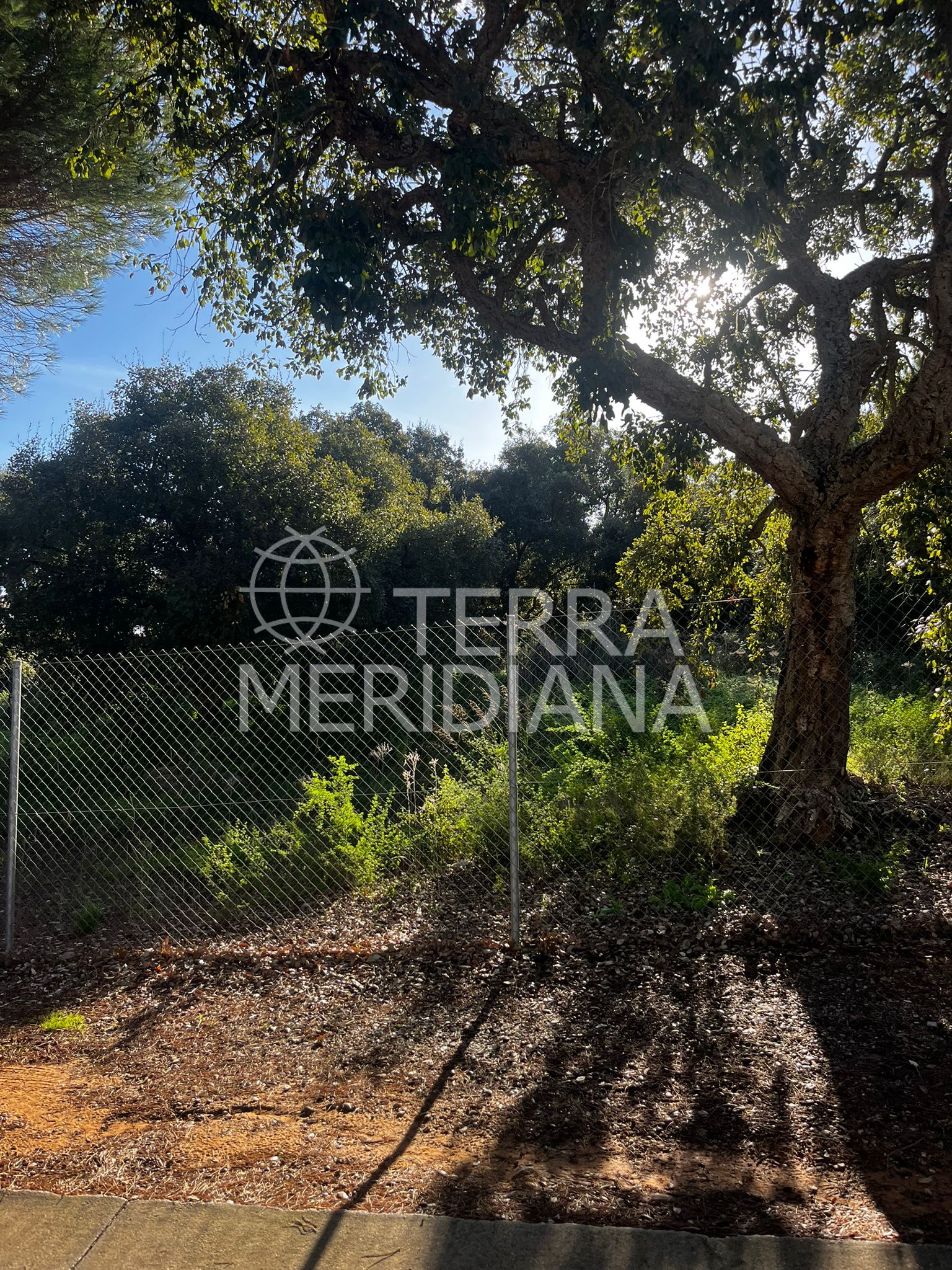 Plot in Sotogrande Alto Central, Sotogrande