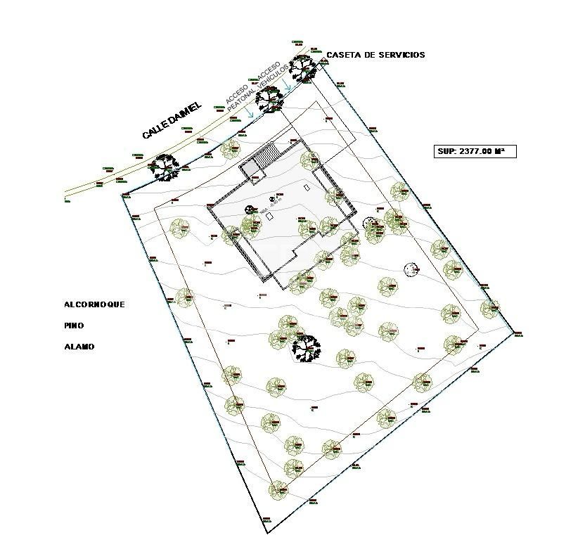 Plot in Sotogrande Alto Central, Sotogrande