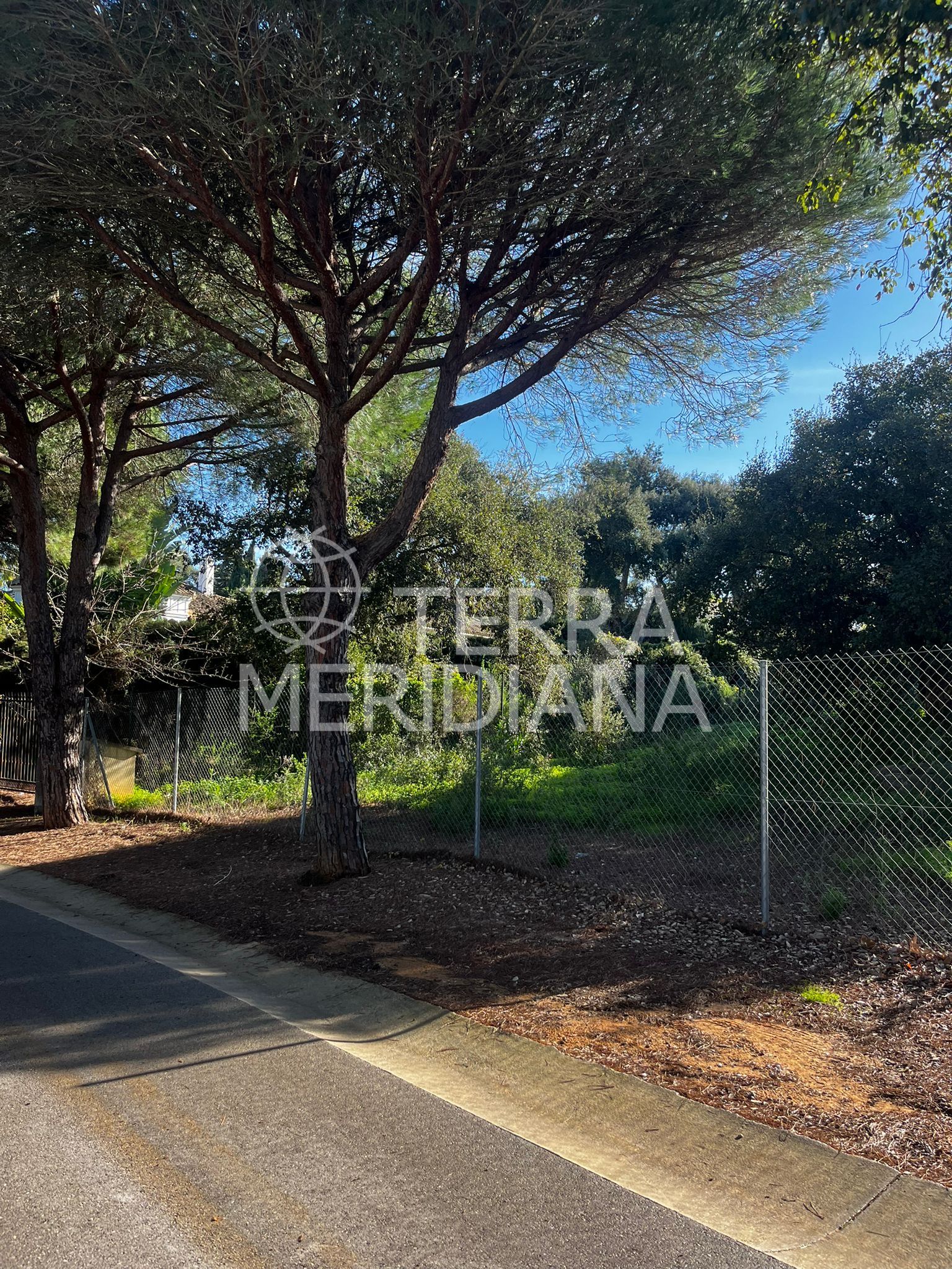 Plot in Sotogrande Alto Central, Sotogrande