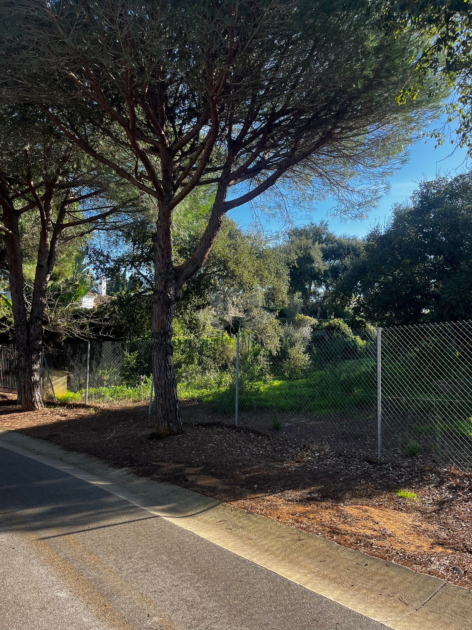 Parcela en Sotogrande Alto Central, Sotogrande