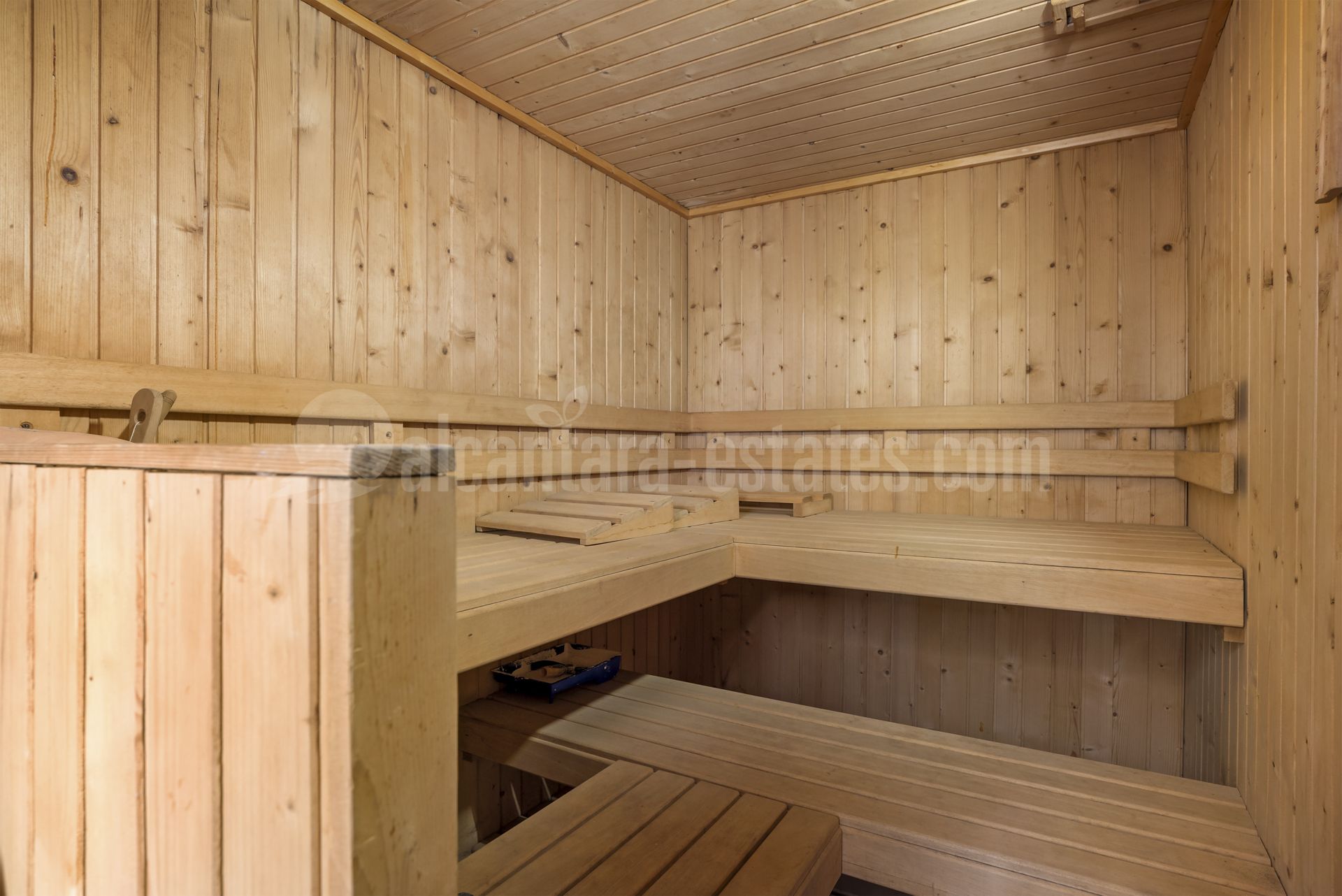 House in Nueva Andalucia, Marbella