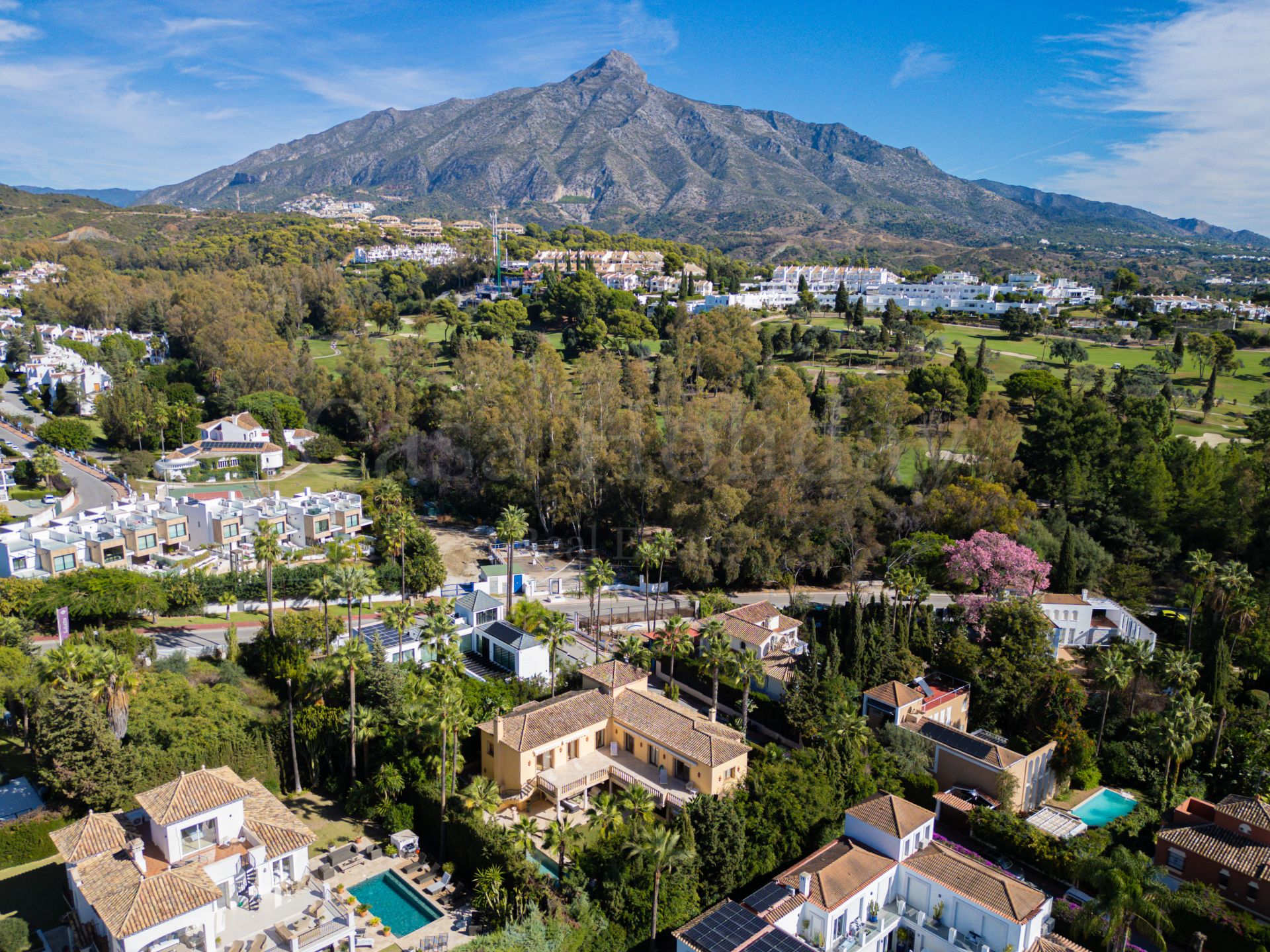 Villa in Nueva Andalucia, Marbella