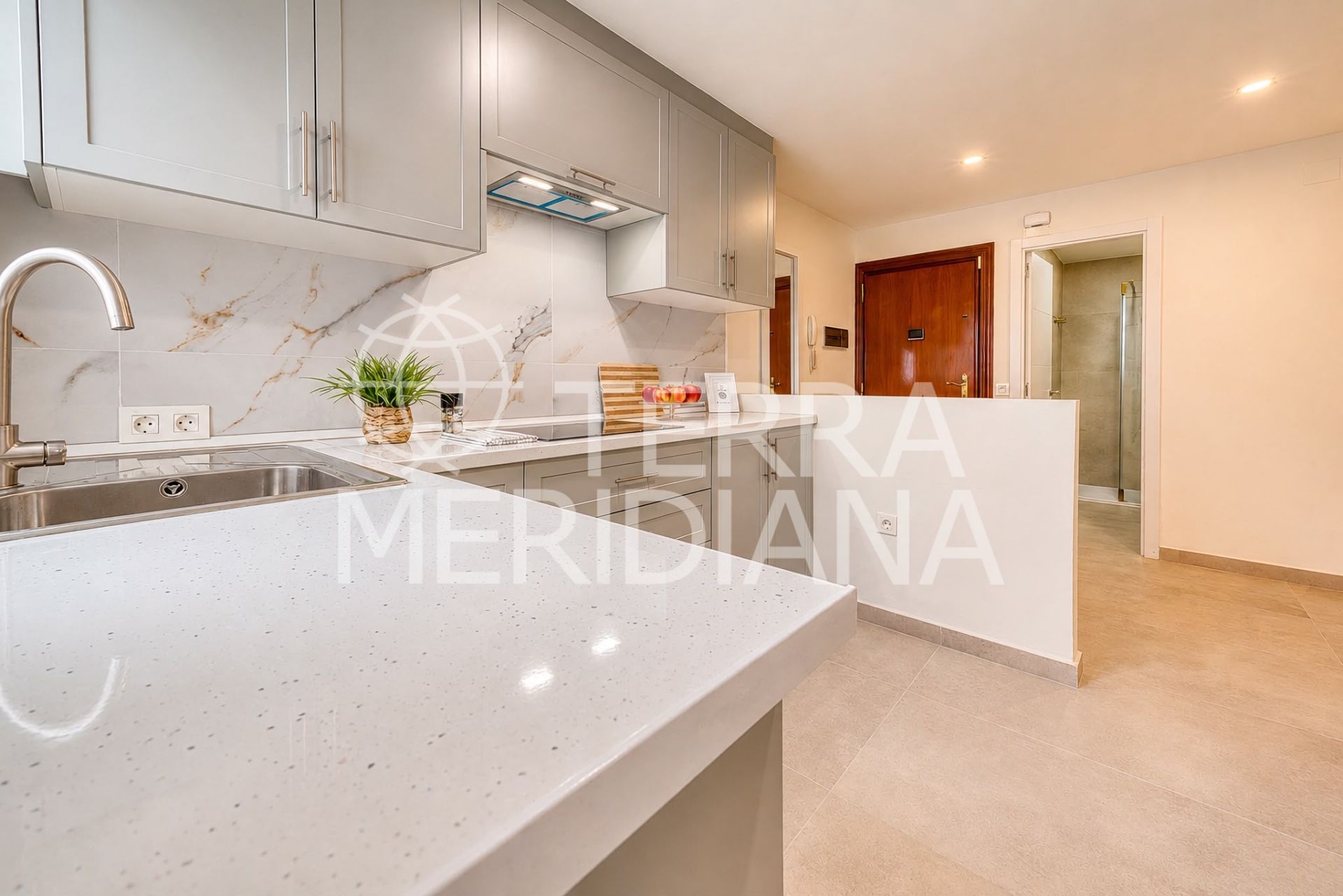 Apartment in Nueva Andalucia, Marbella