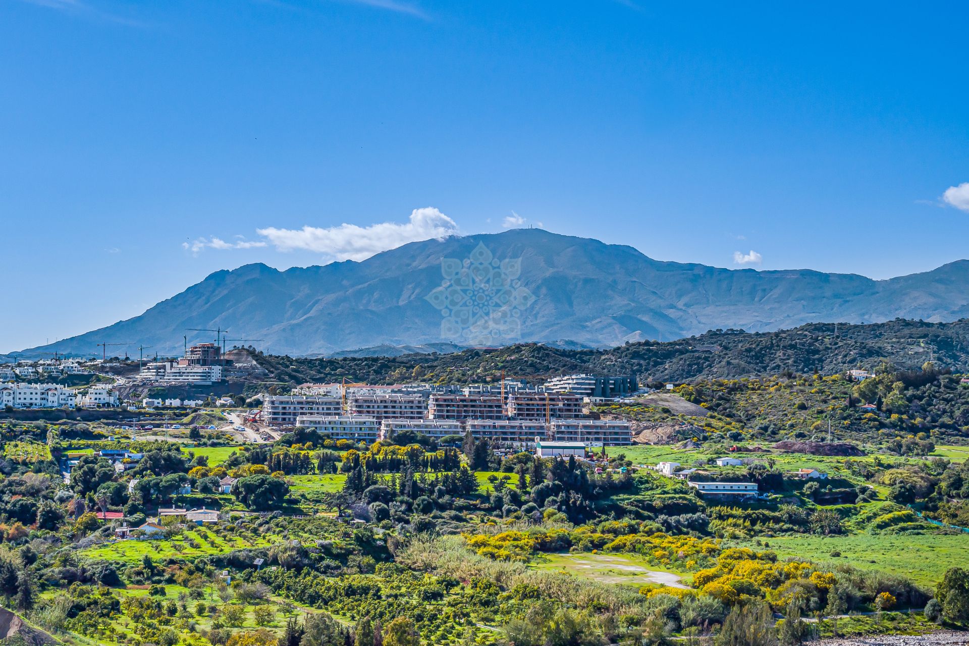 Apartment in Cancelada, Estepona