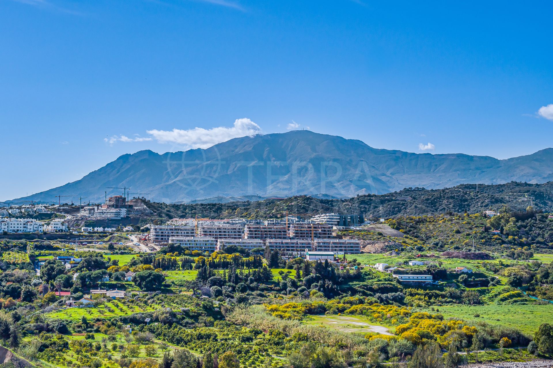 Apartment in Cancelada, Estepona