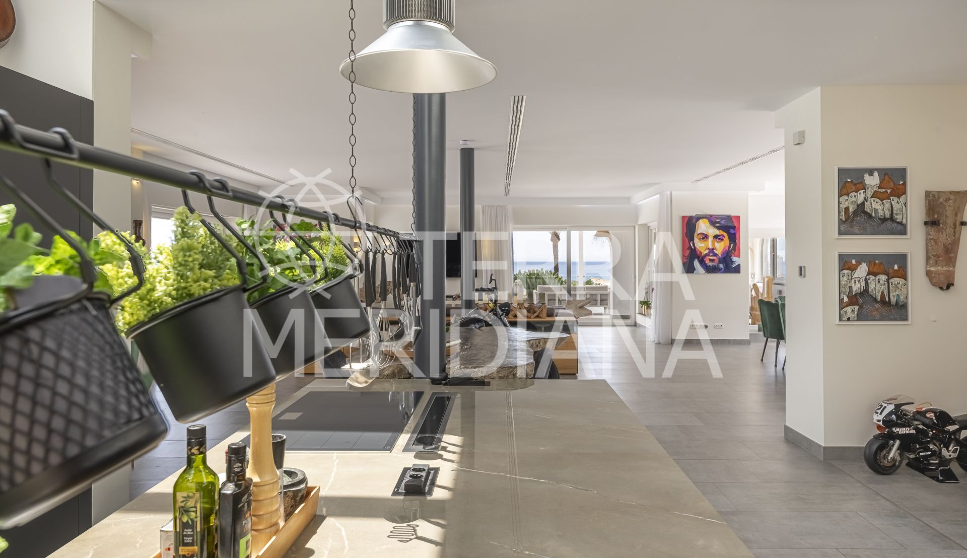 Villa in Elviria, Marbella