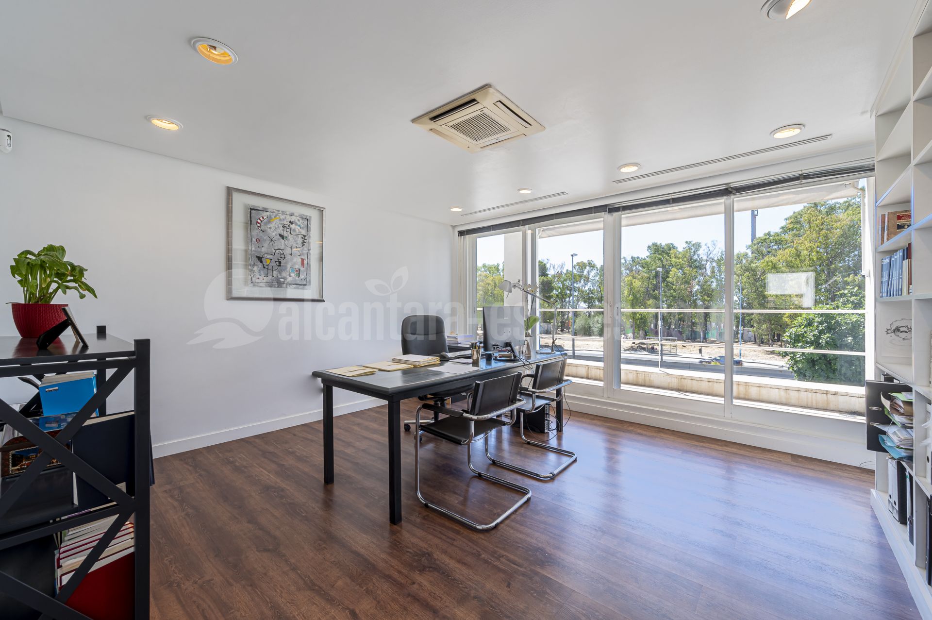 Negocio en Guadalmina Alta, San Pedro de Alcantara