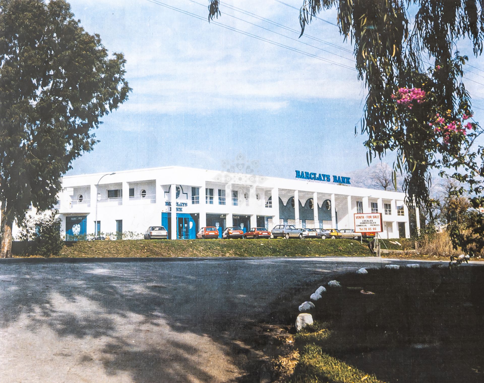 Business in Guadalmina Alta, San Pedro de Alcantara