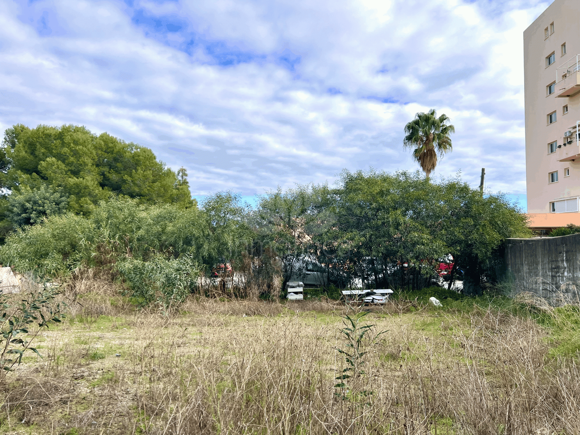 Plot in El Padron, Estepona