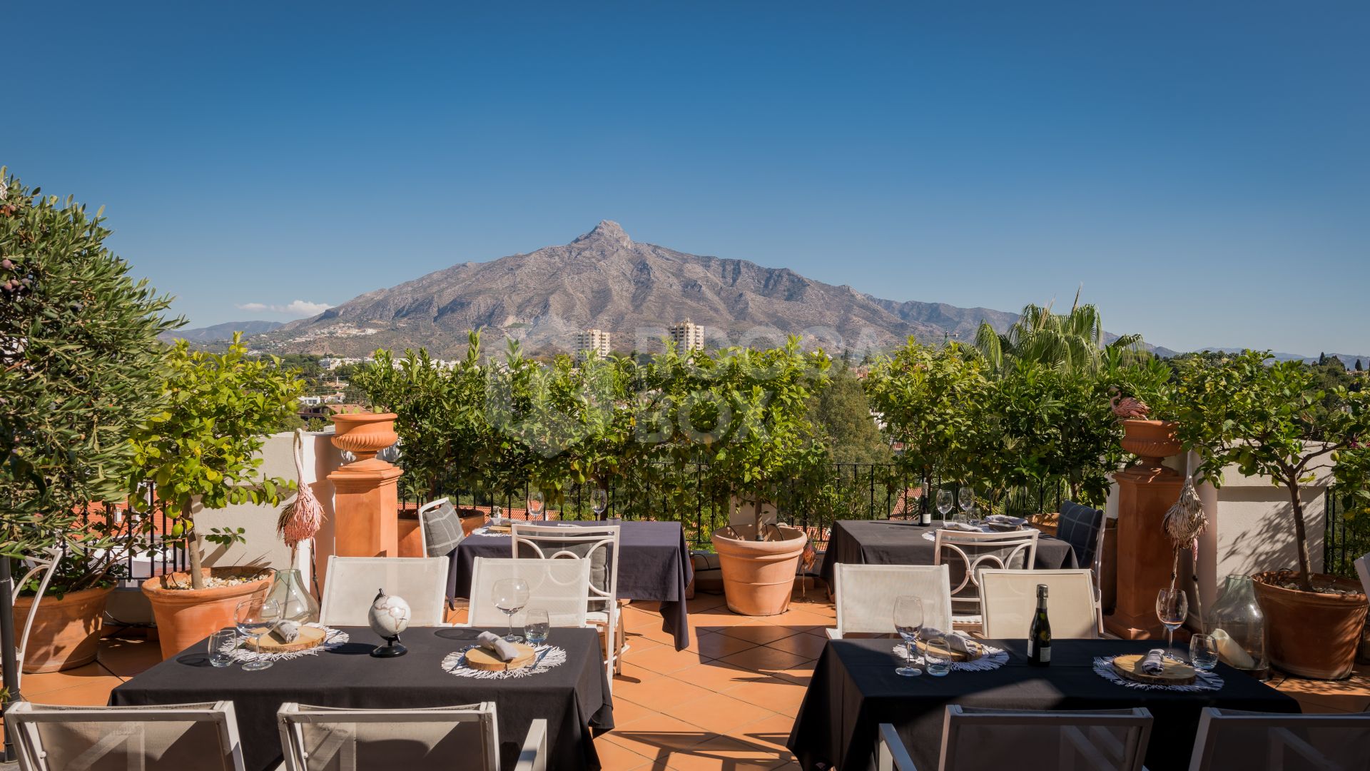 Incredible property with panoramic views!