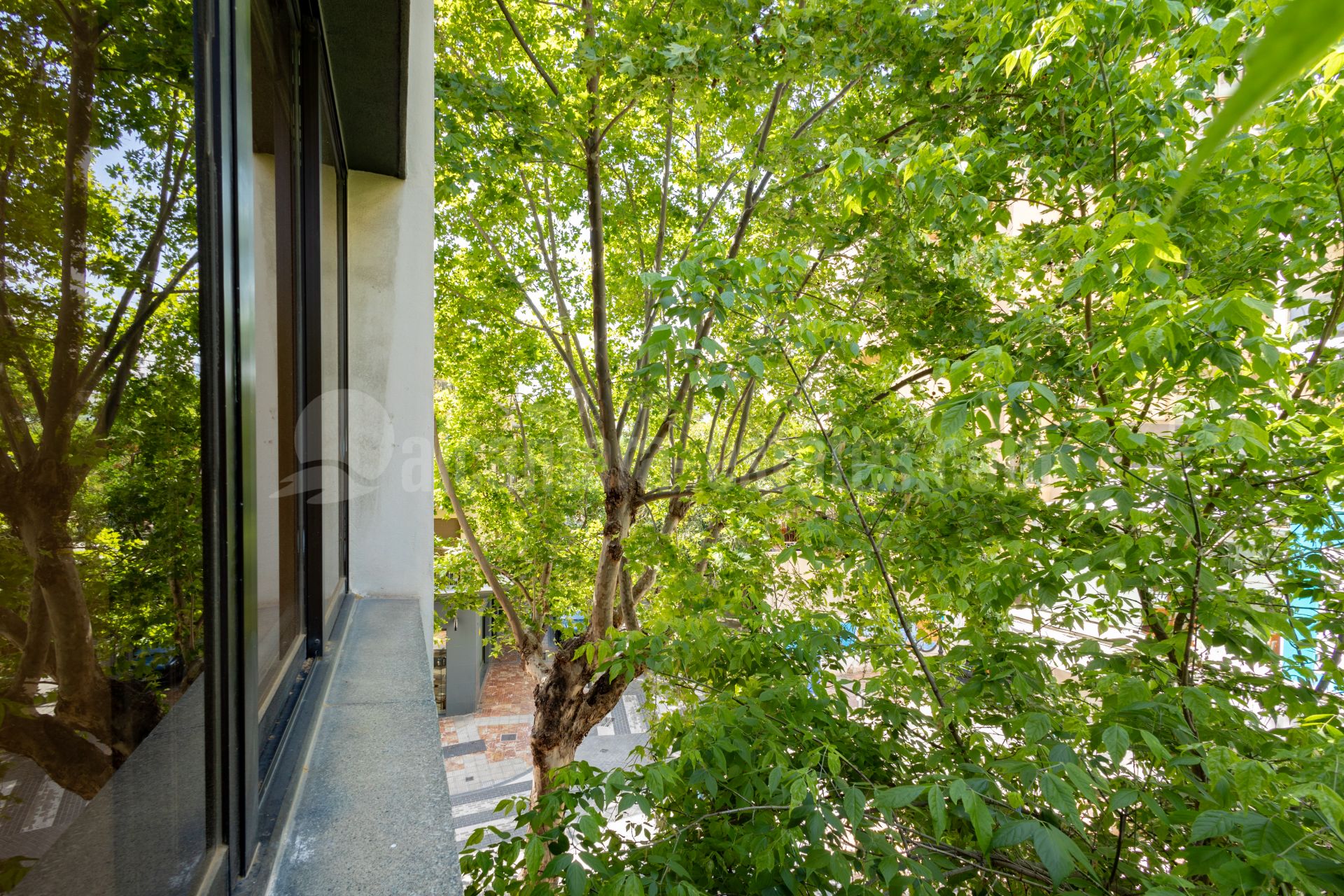 Commercial Premises in Marbella