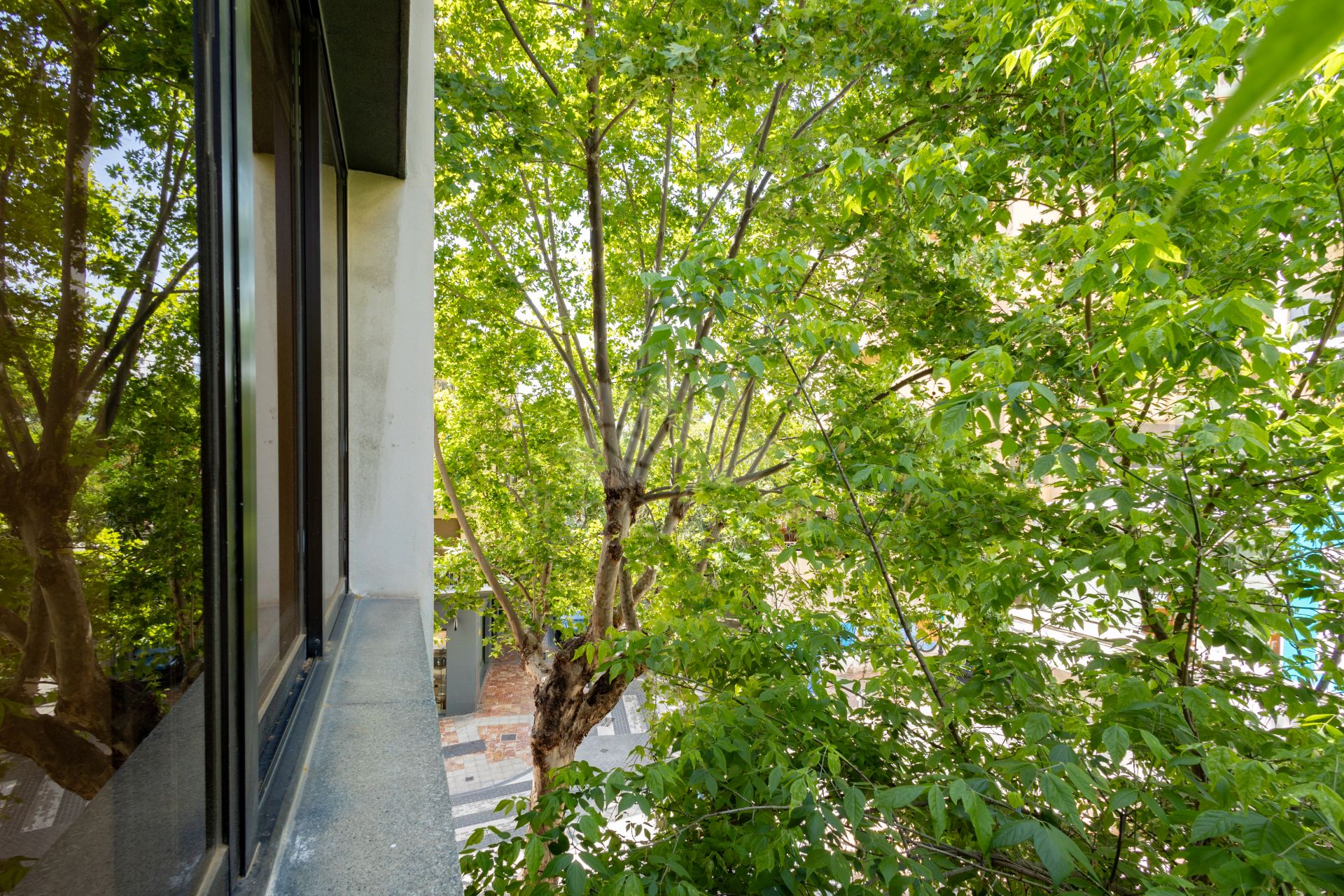 Commercial Premises in Marbella