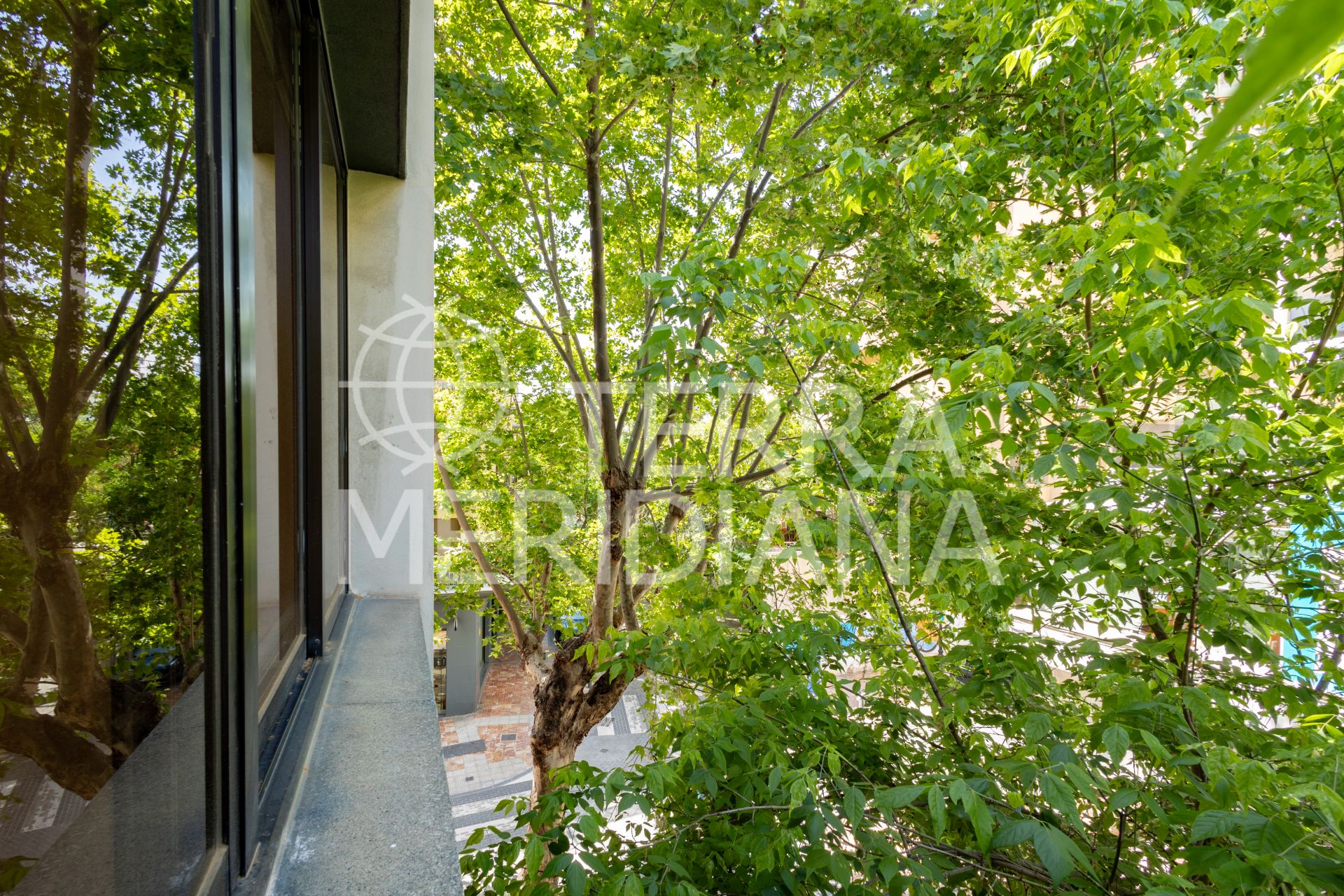 Commercial Premises in Marbella