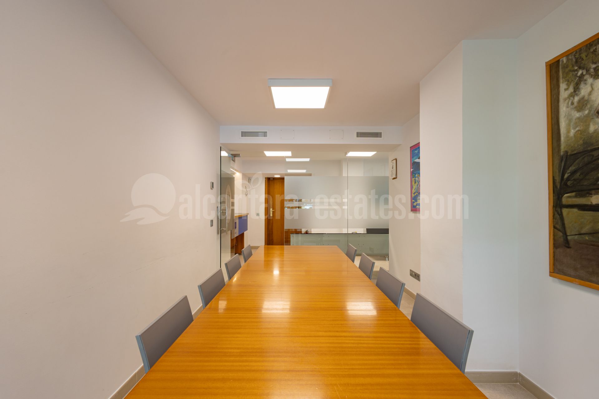 Commercial Premises in Marbella