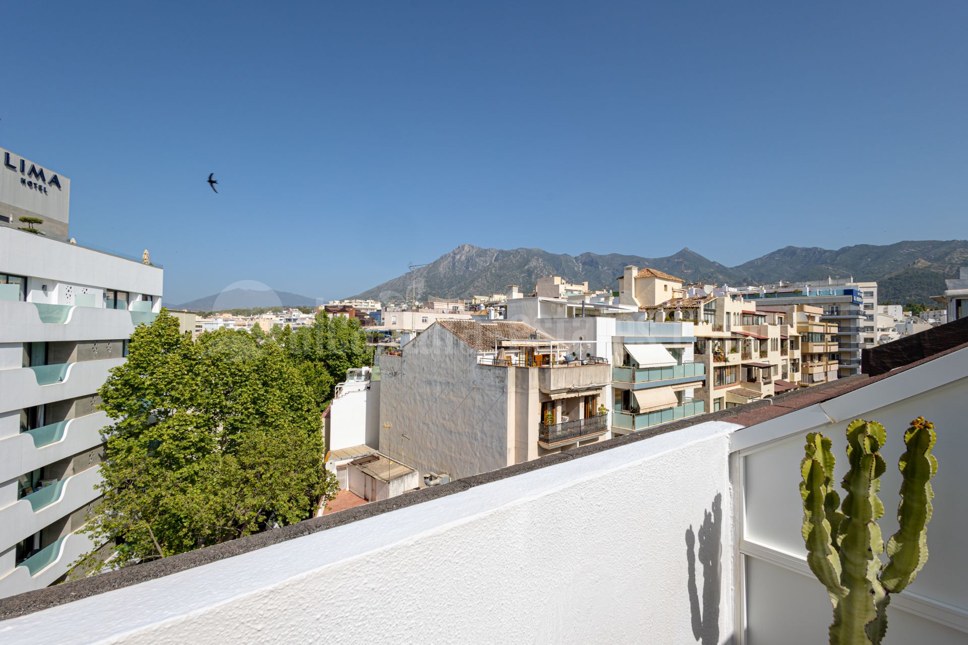 Atico Duplex en Marbella Centro, Marbella