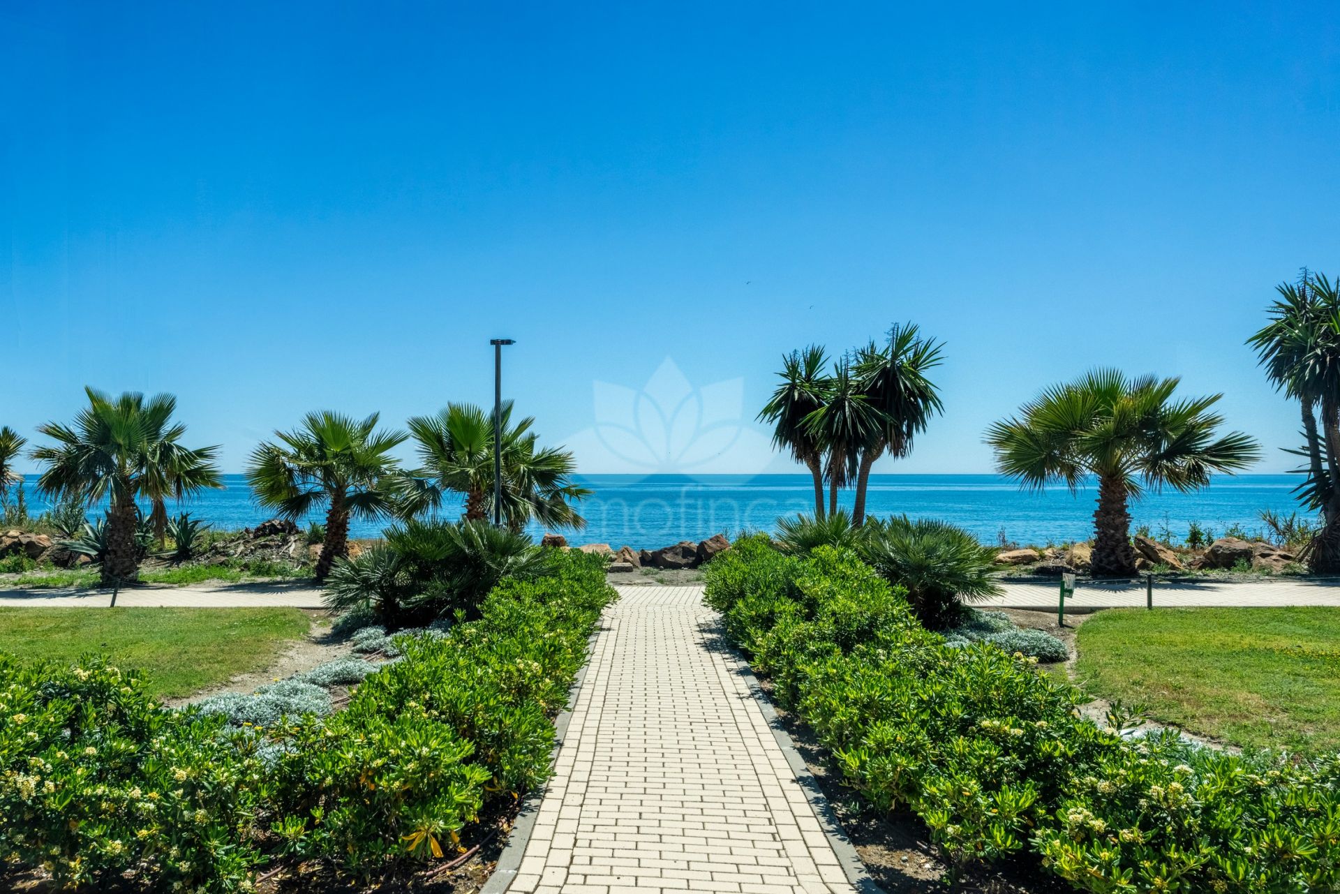 Pareado en The Island, Estepona