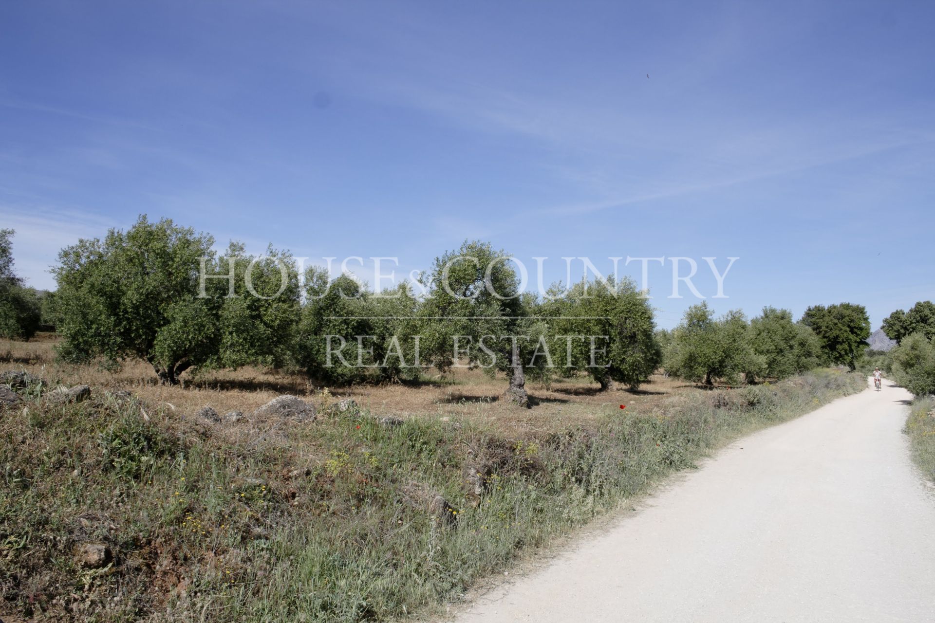 Finca in Ronda