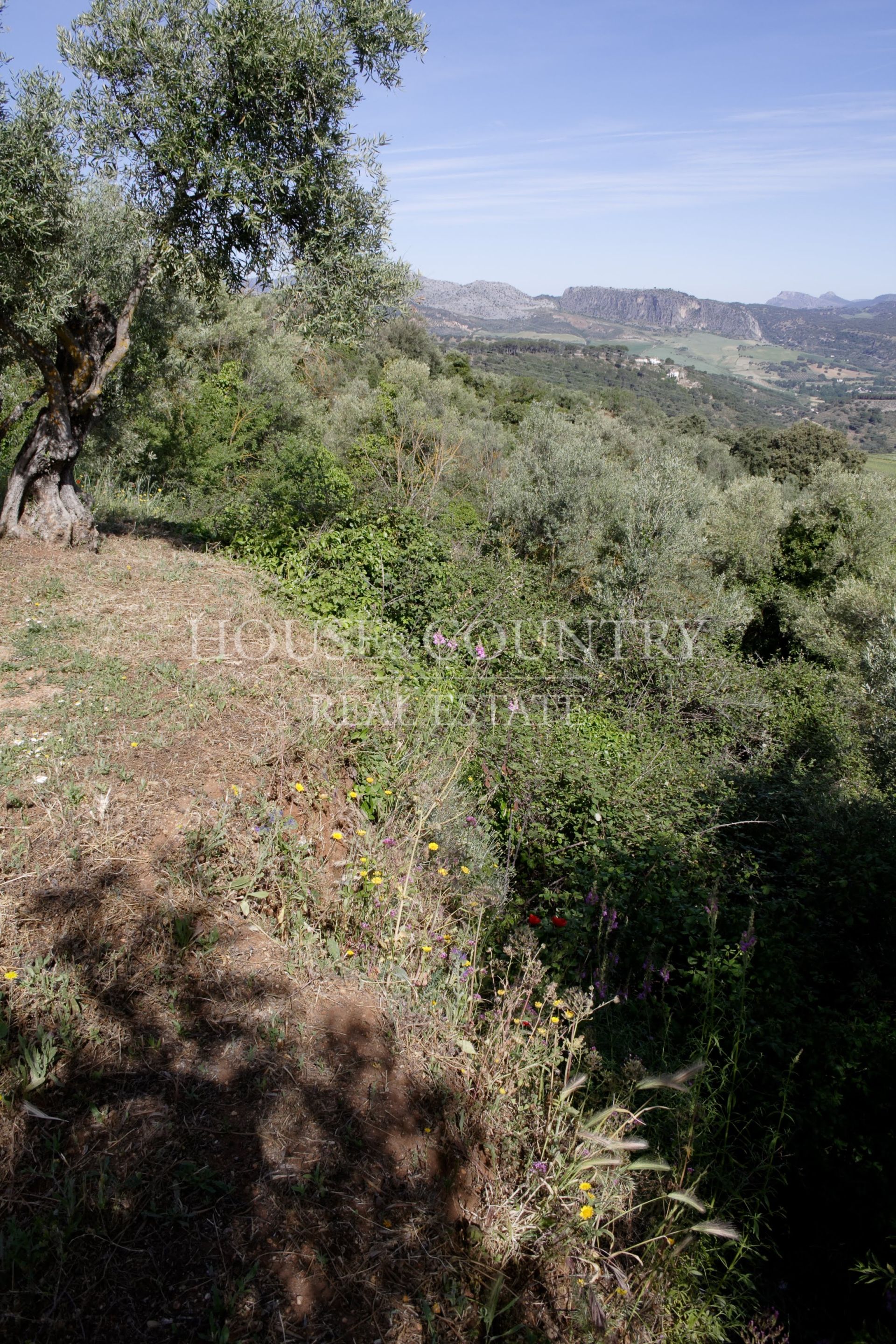 Finca in Ronda