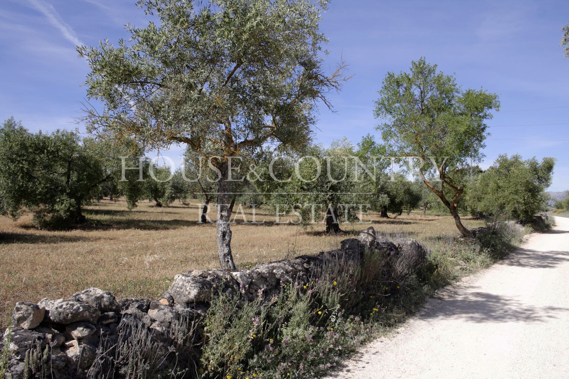 Finca in Ronda
