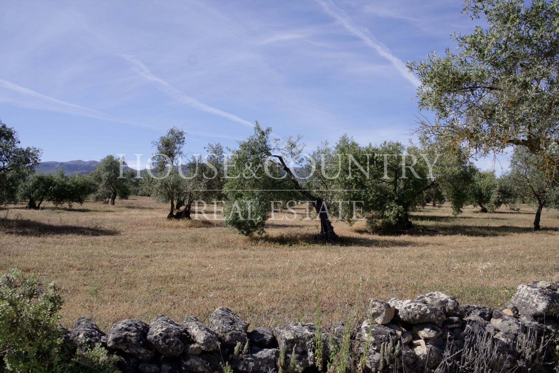 Finca in Ronda