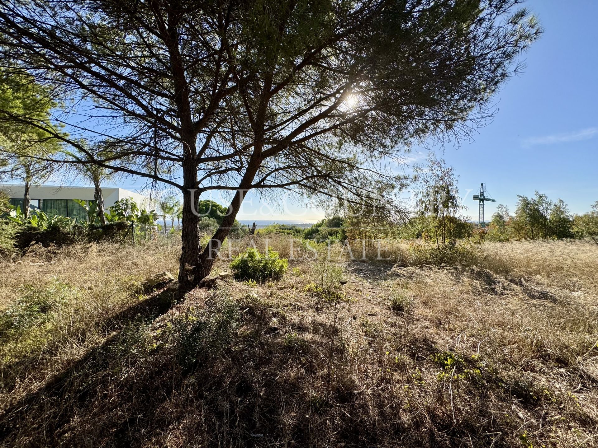 Parcela en La Reserva, Sotogrande
