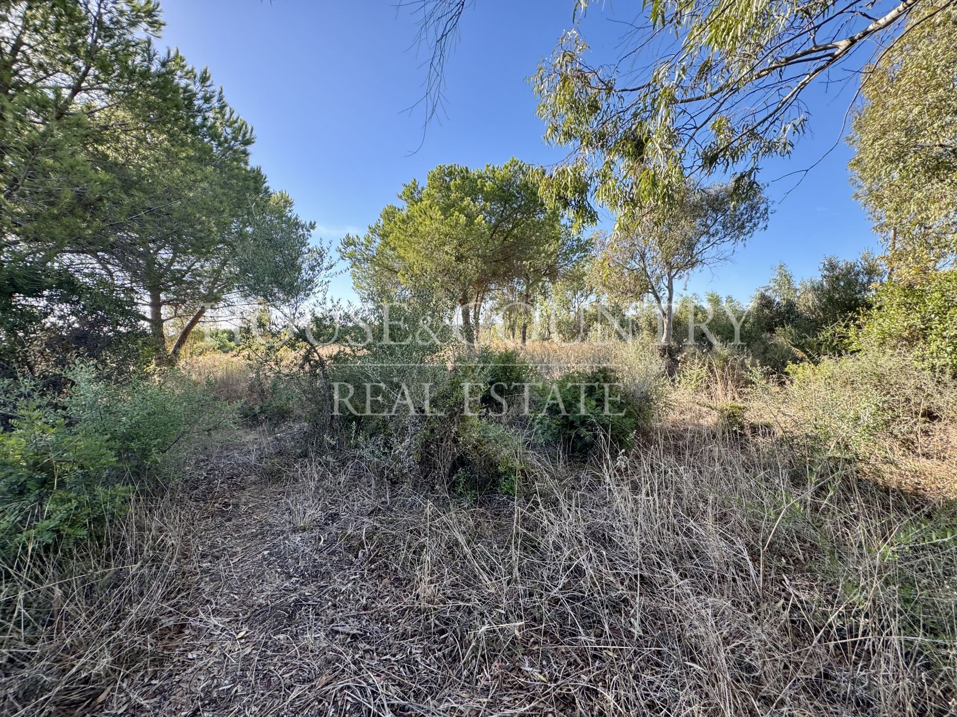 Parcela en La Reserva, Sotogrande