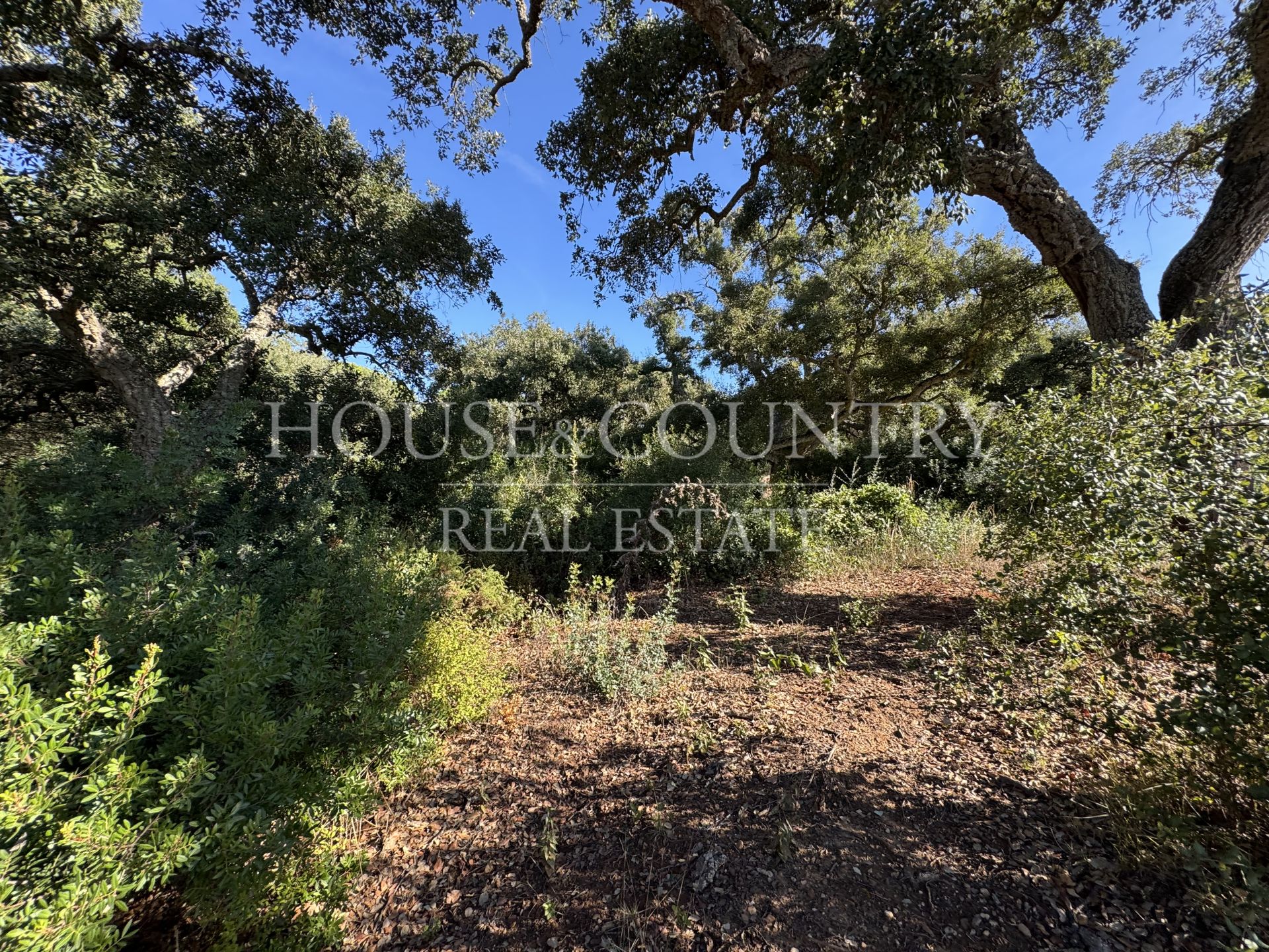 Plot in Los Altos de Valderrama, Sotogrande